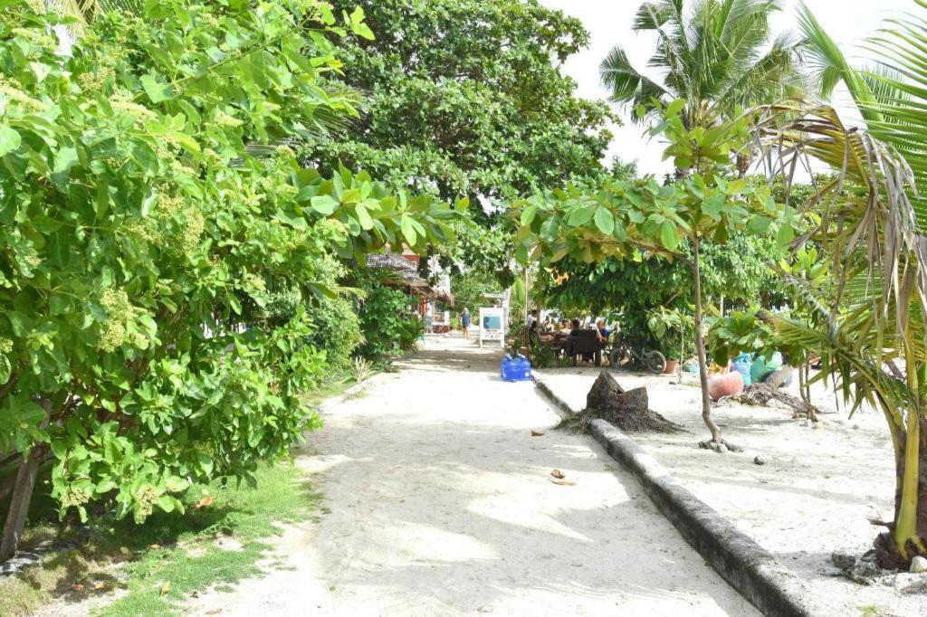 Malapatel