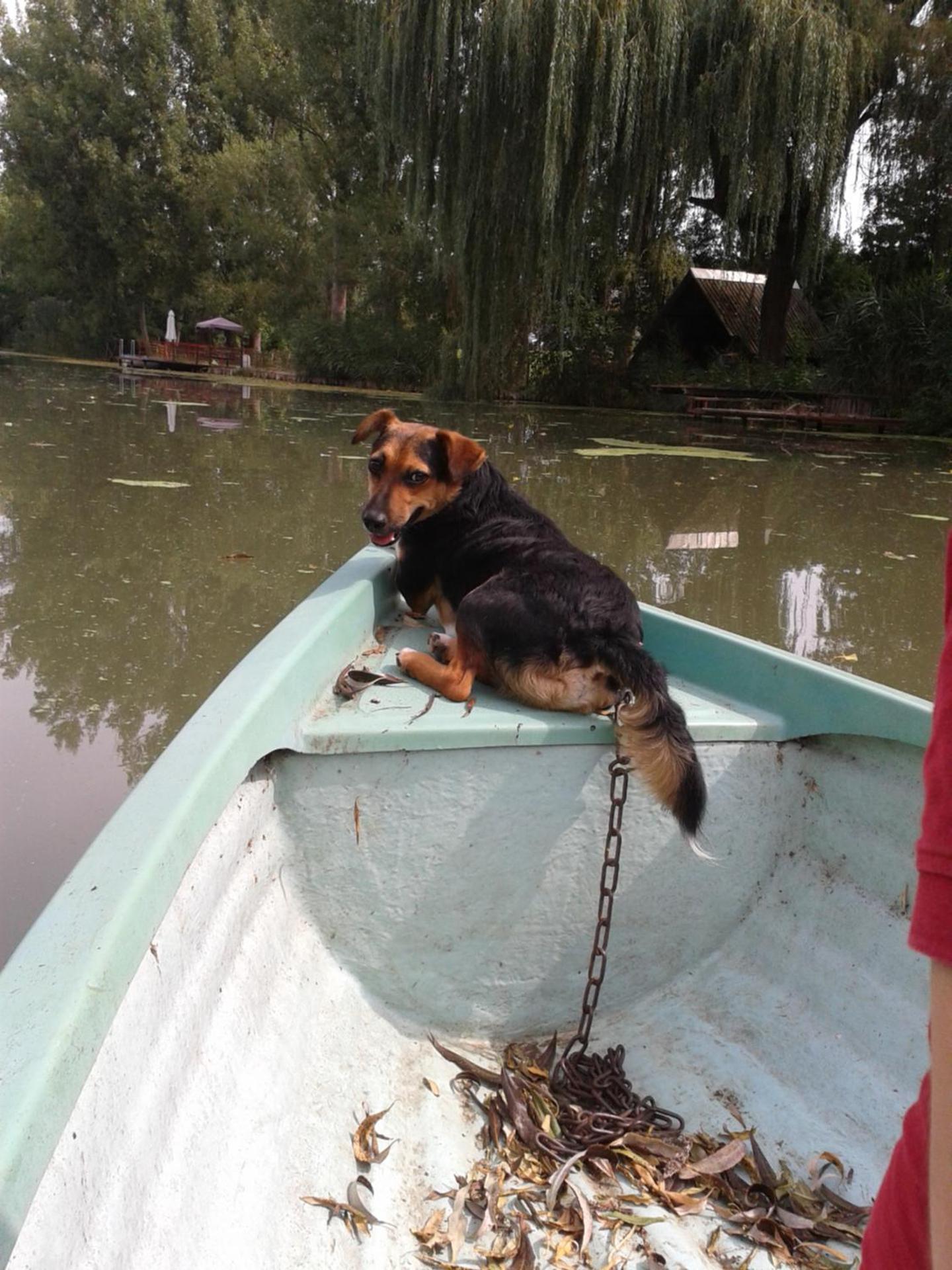 Photo 40
