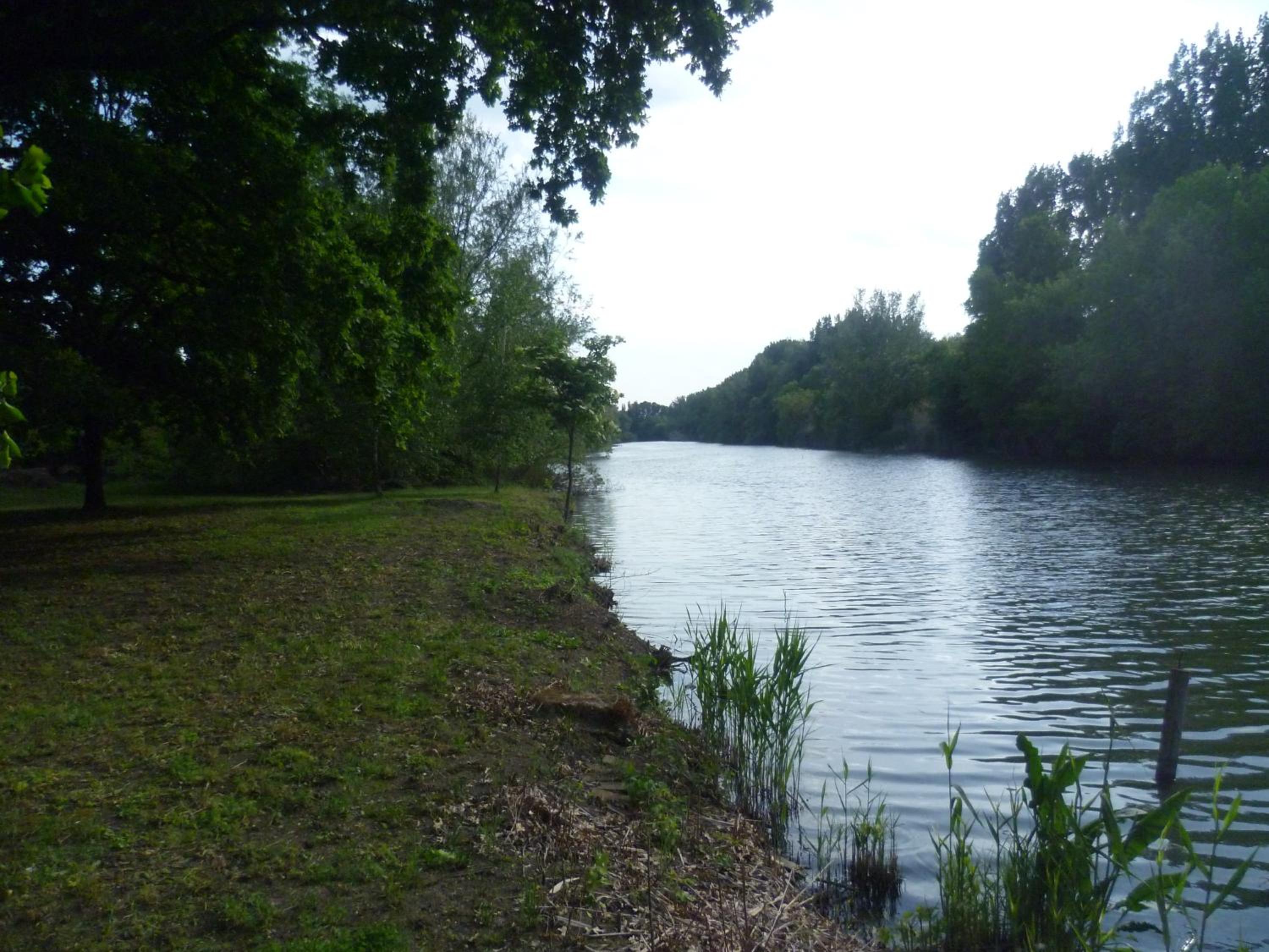 Photo 37