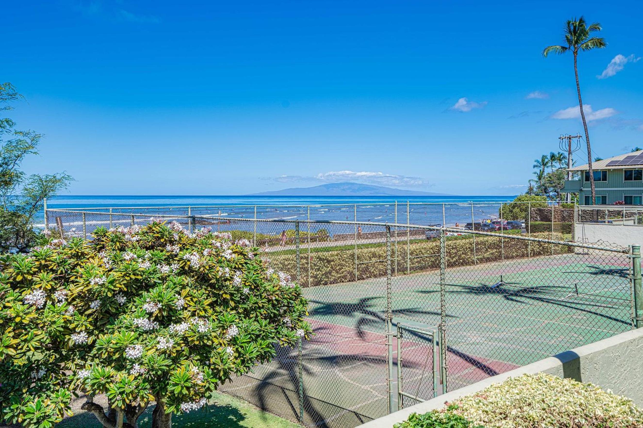Shores of Maui 215 - Dramatic Ocean Views, Steps to the Beach, Renovated, AC!