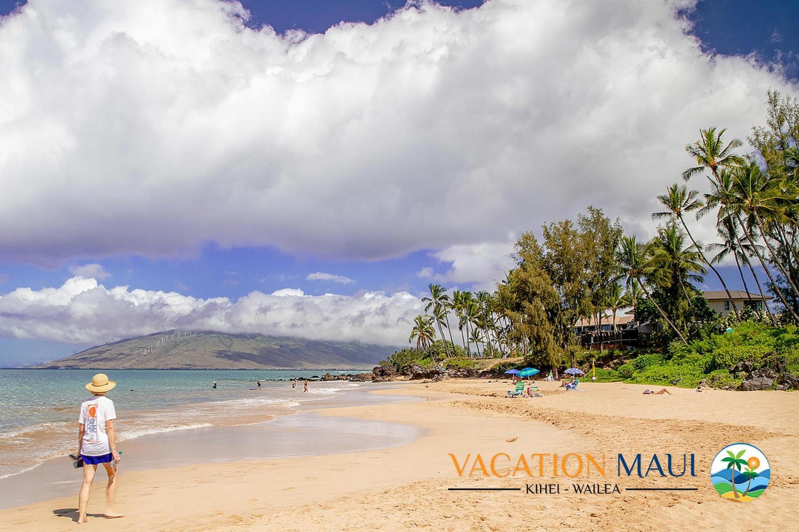 Shores of Maui 215 - Dramatic Ocean Views, Steps to the Beach, Renovated, AC!