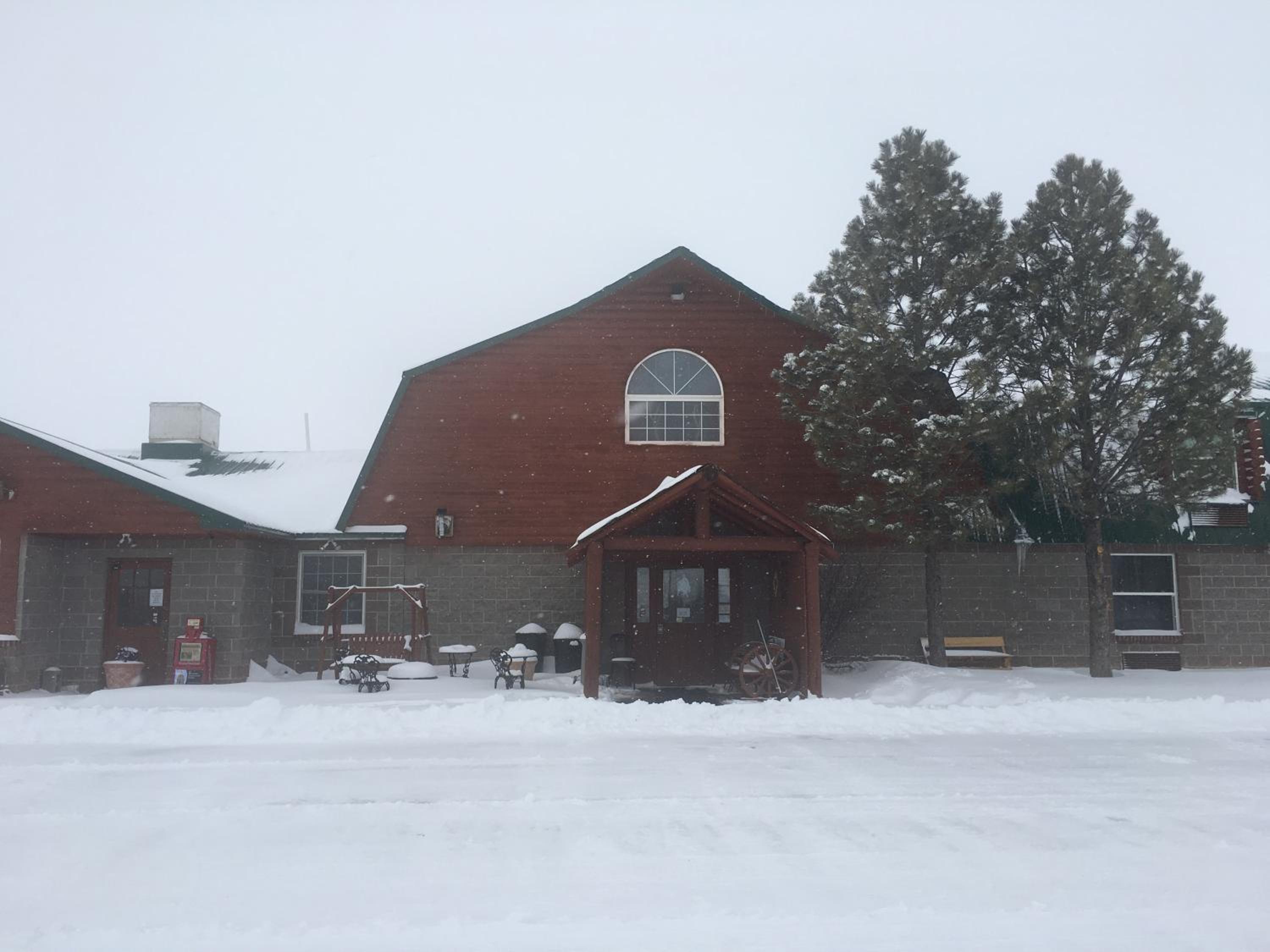 Buffalo Lodge