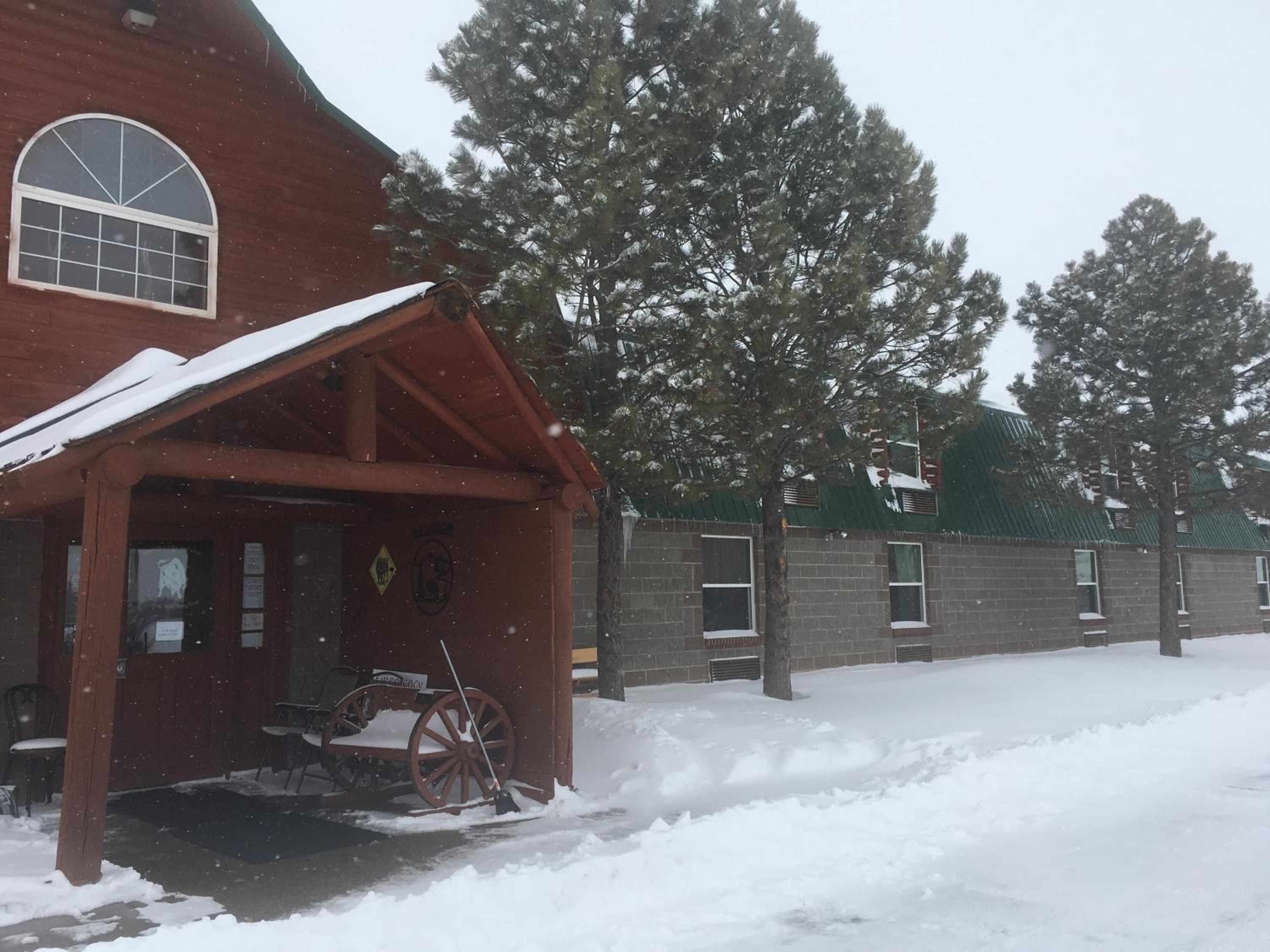 Buffalo Lodge