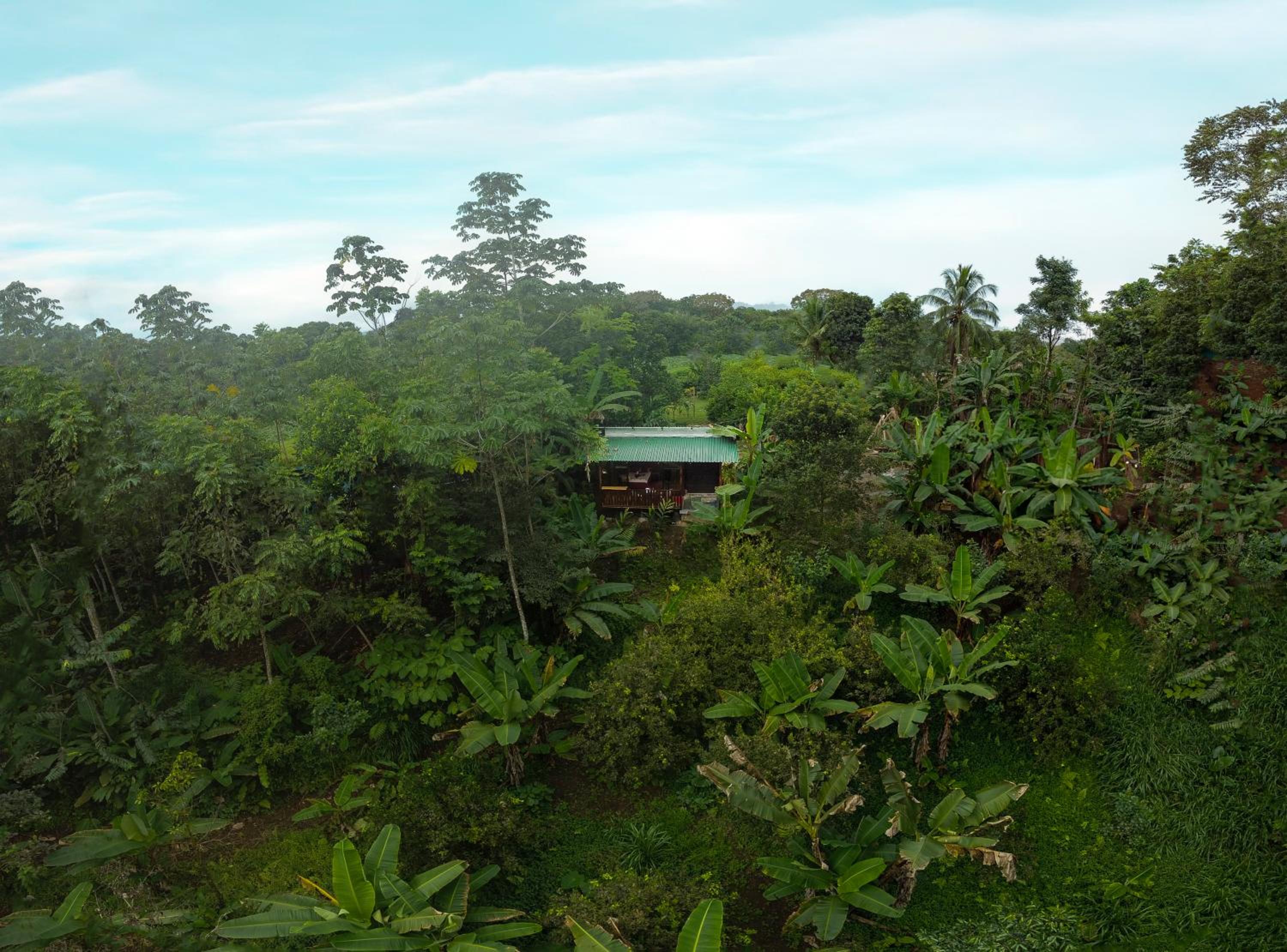 Edén Bungalow, A Paradise in La Fortuna!