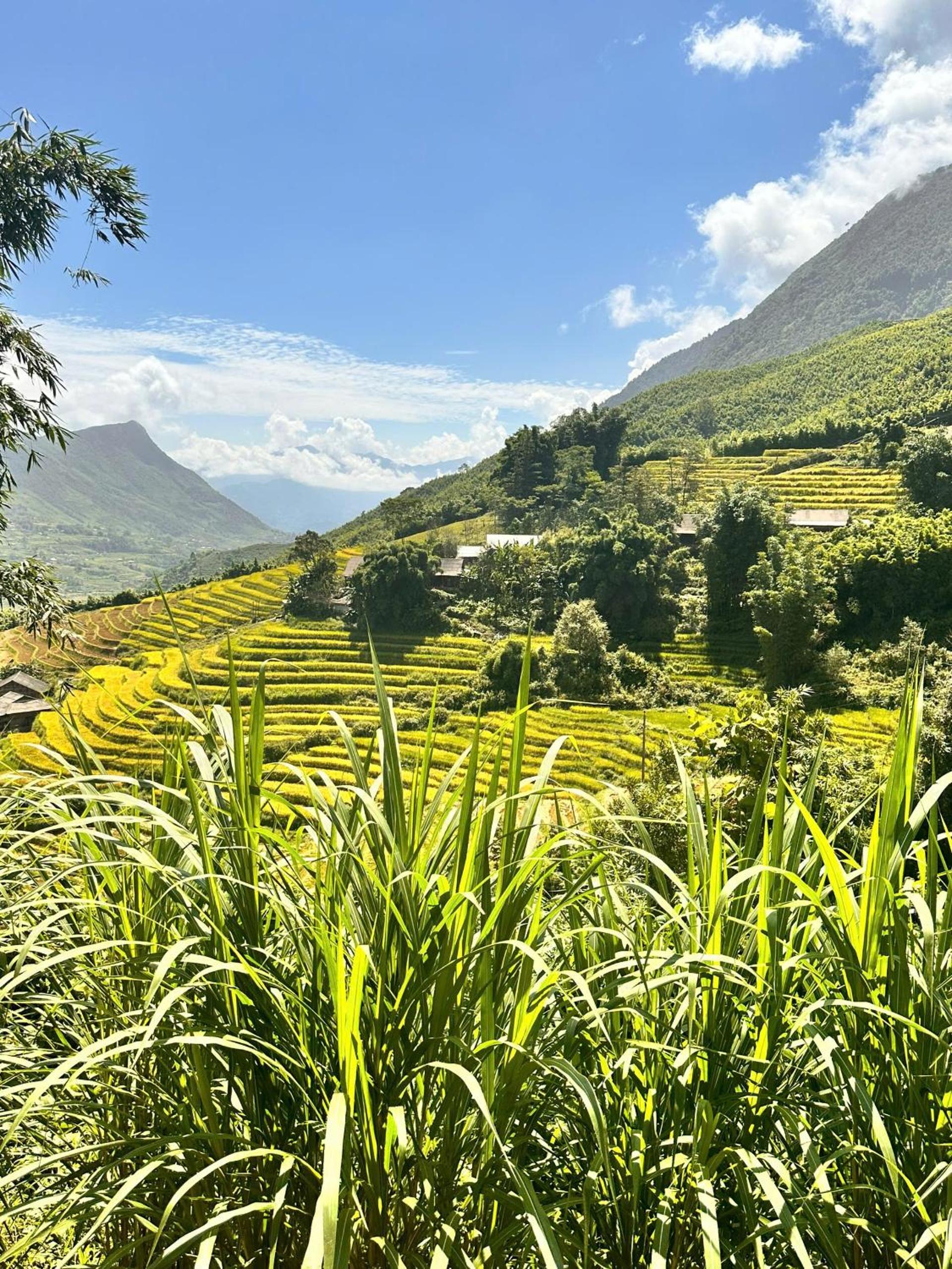 Dinh Sapa Trekking & Homestay