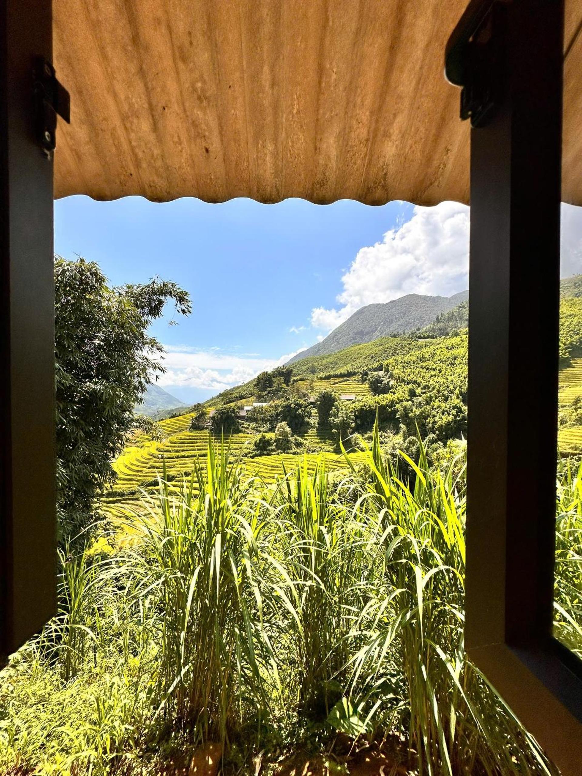 Dinh Sapa Trekking & Homestay
