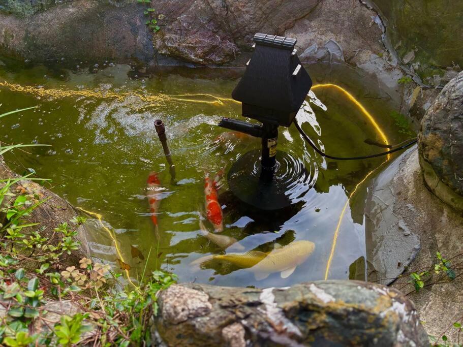 other