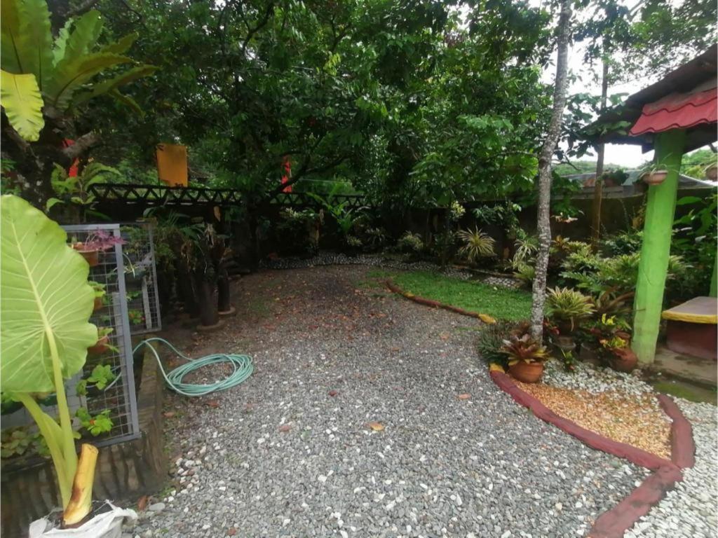 Photo 6