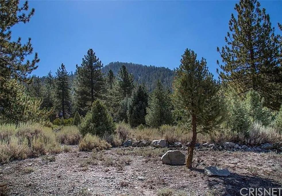 Enjoy Privacy - Pine Mountain - Spacious Home view 2