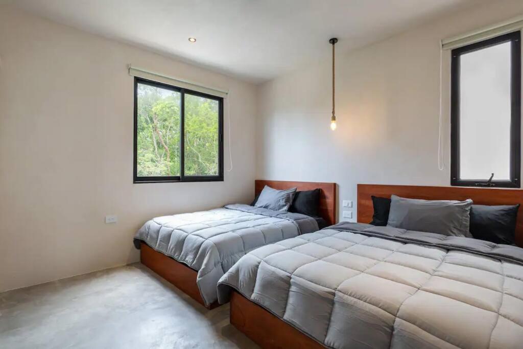 Casa Cedra