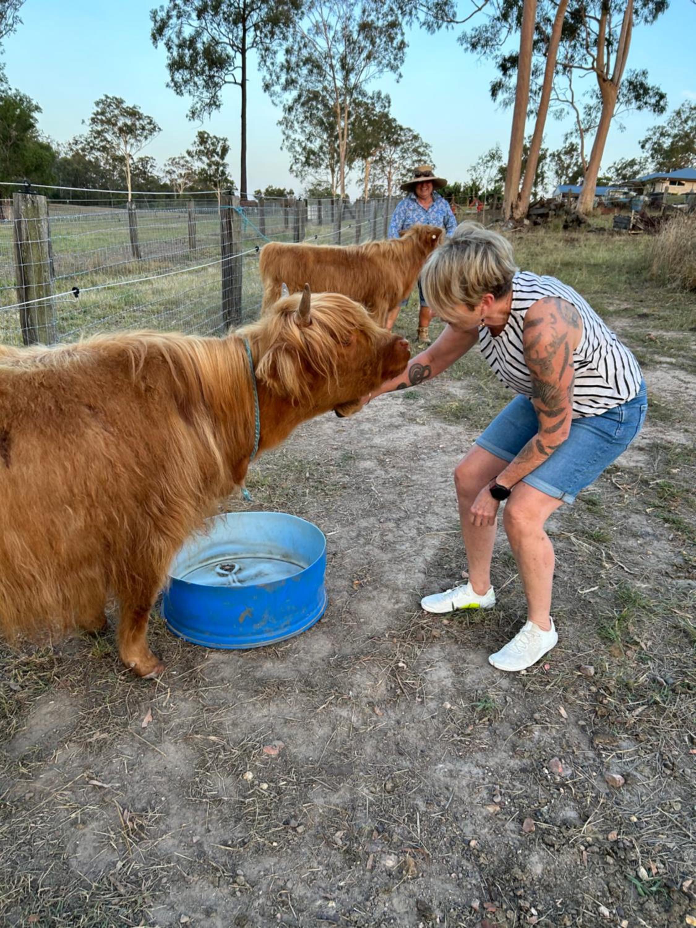 Sunrise Quarter Horse Stud