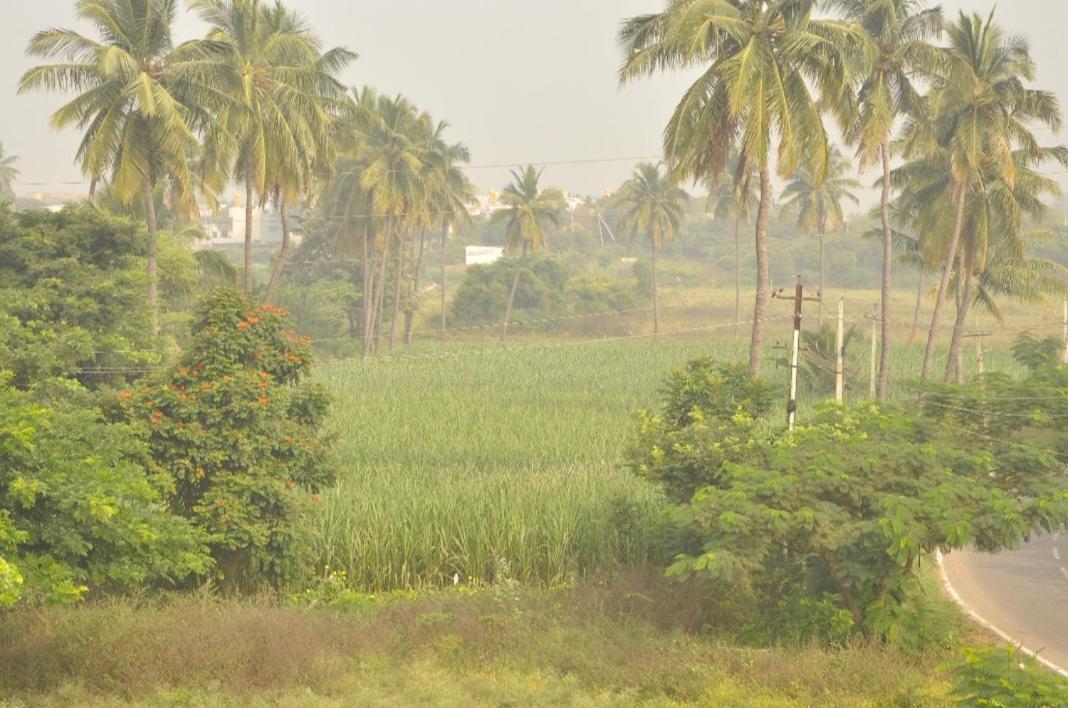 Suresh Guest House view 4