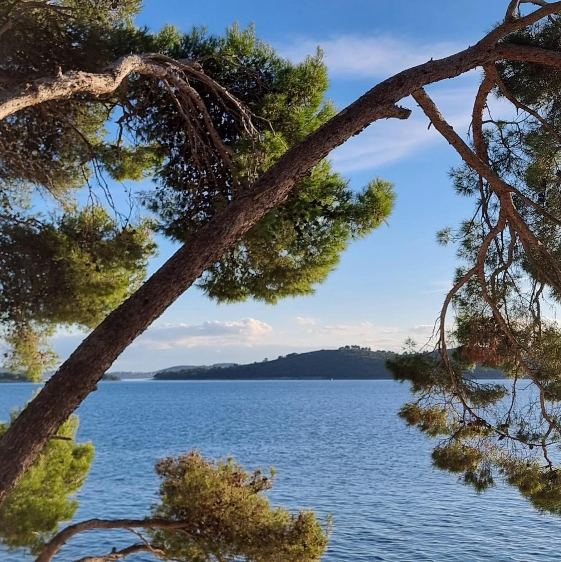 Summer Park Residence Peljesac