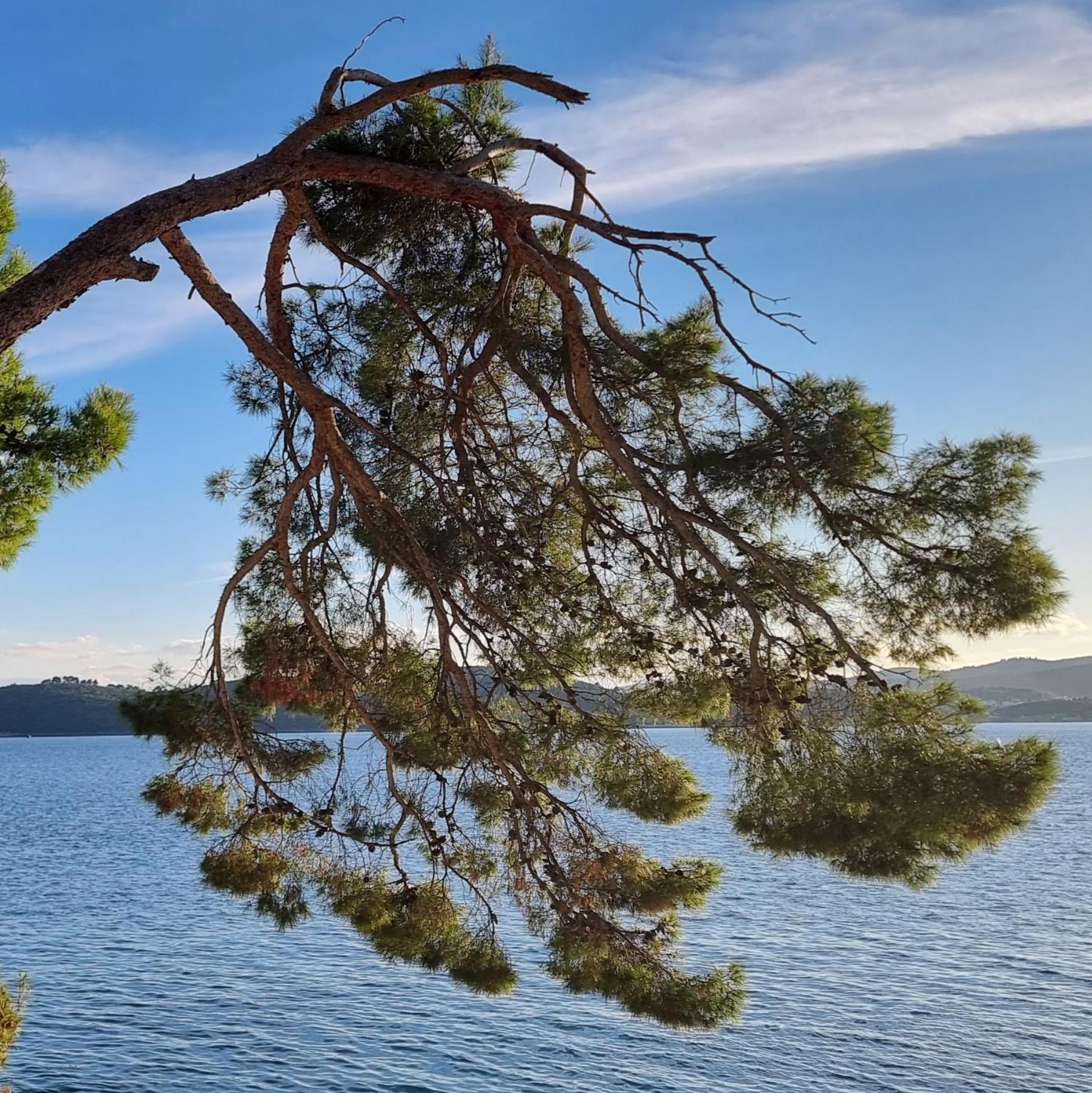 Summer Park Residence Peljesac