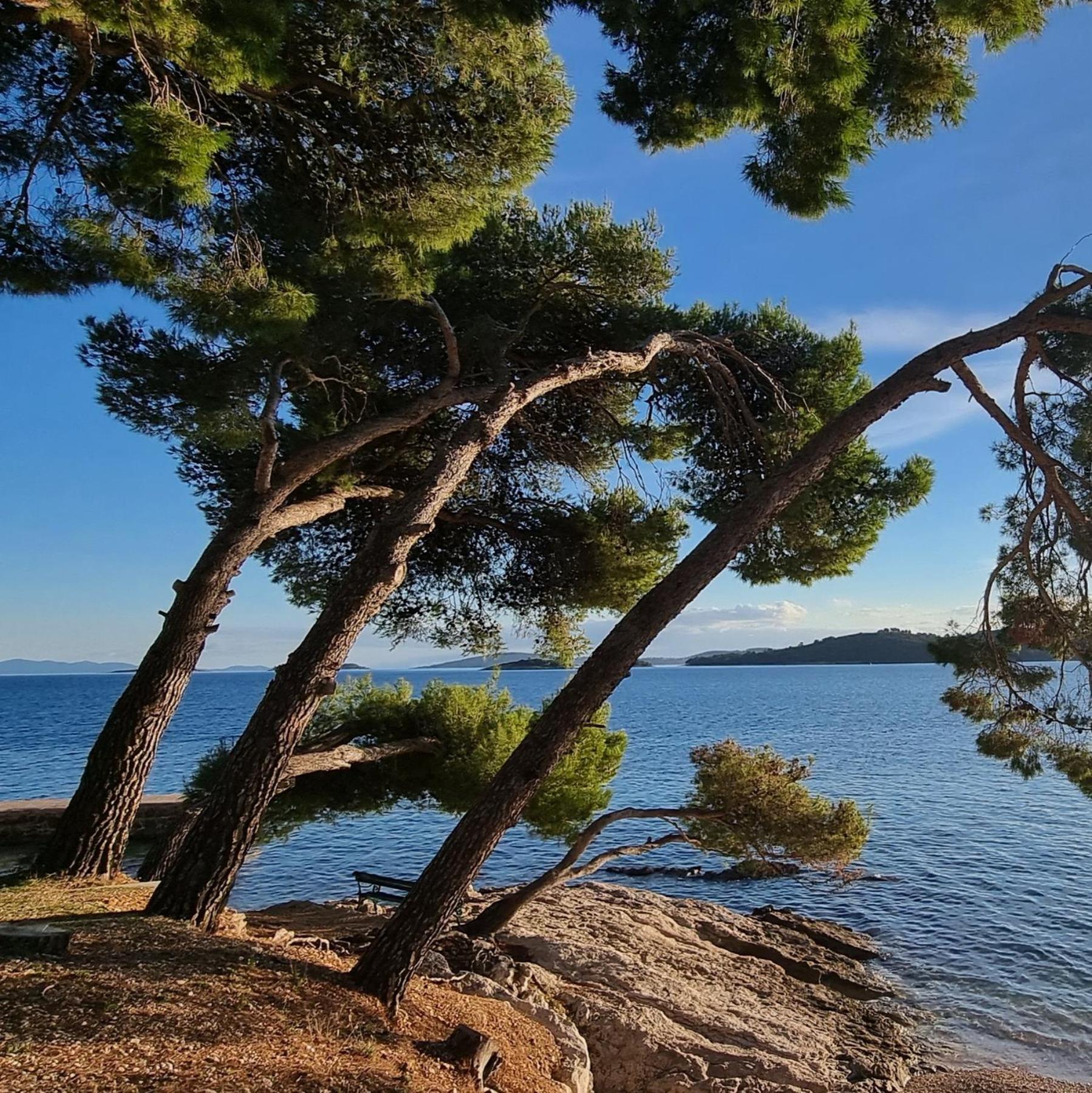 Summer Park Residence Peljesac