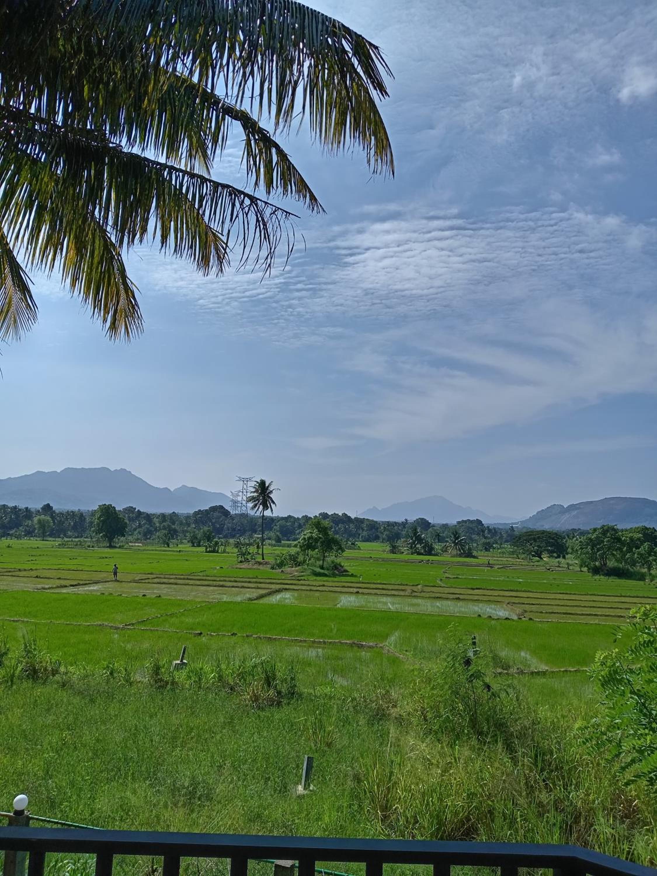 Sarali home stay view 3