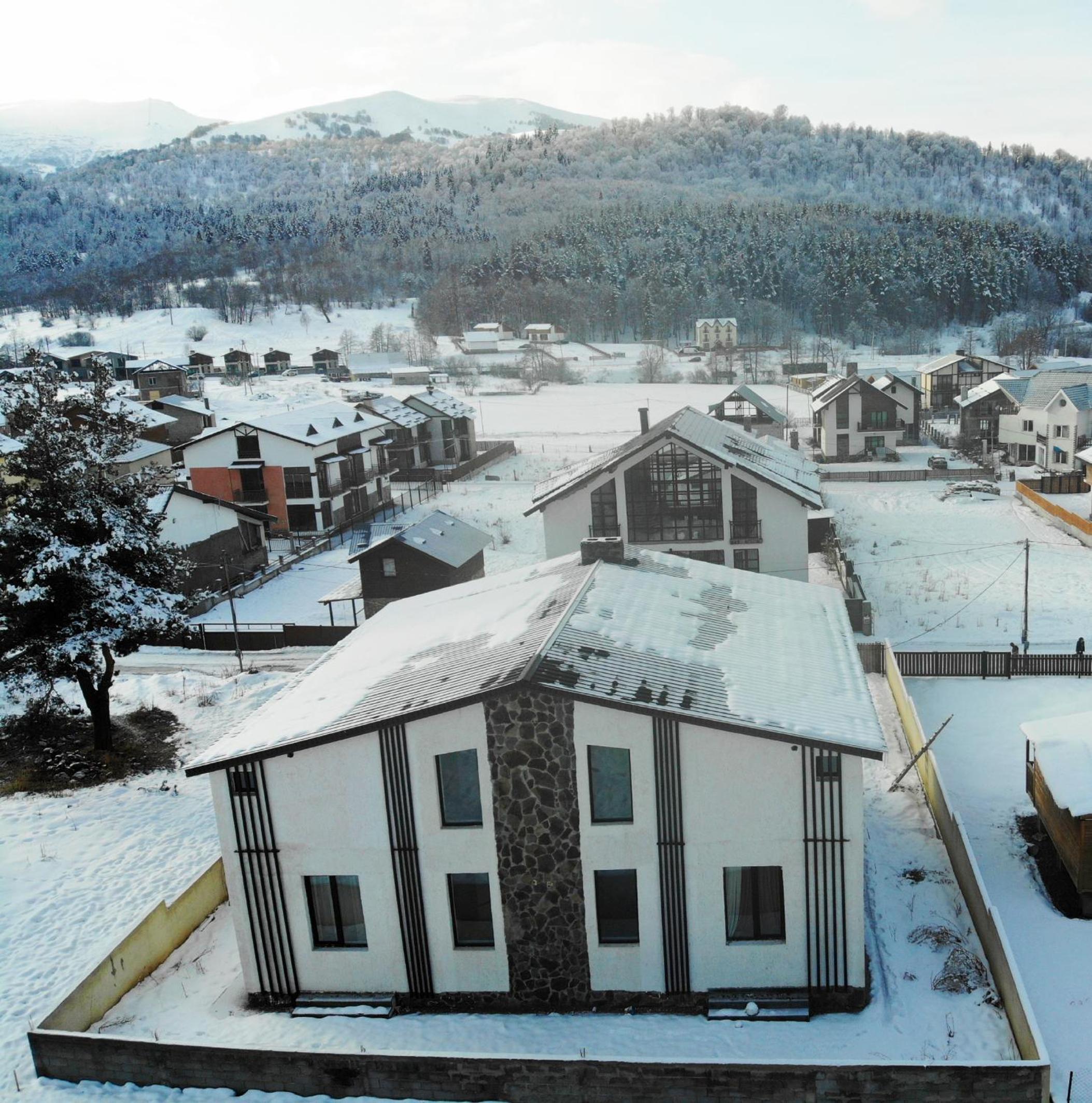 Twin Cottages in Bakuriani view 2