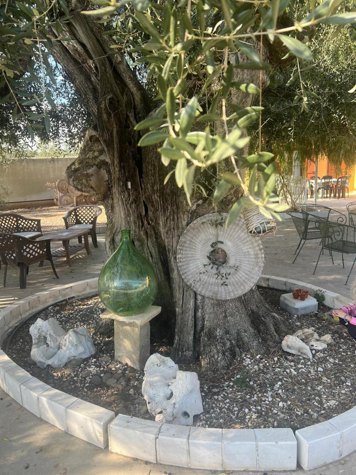 Casal Mastro appartamenti e camere con piscina view 5