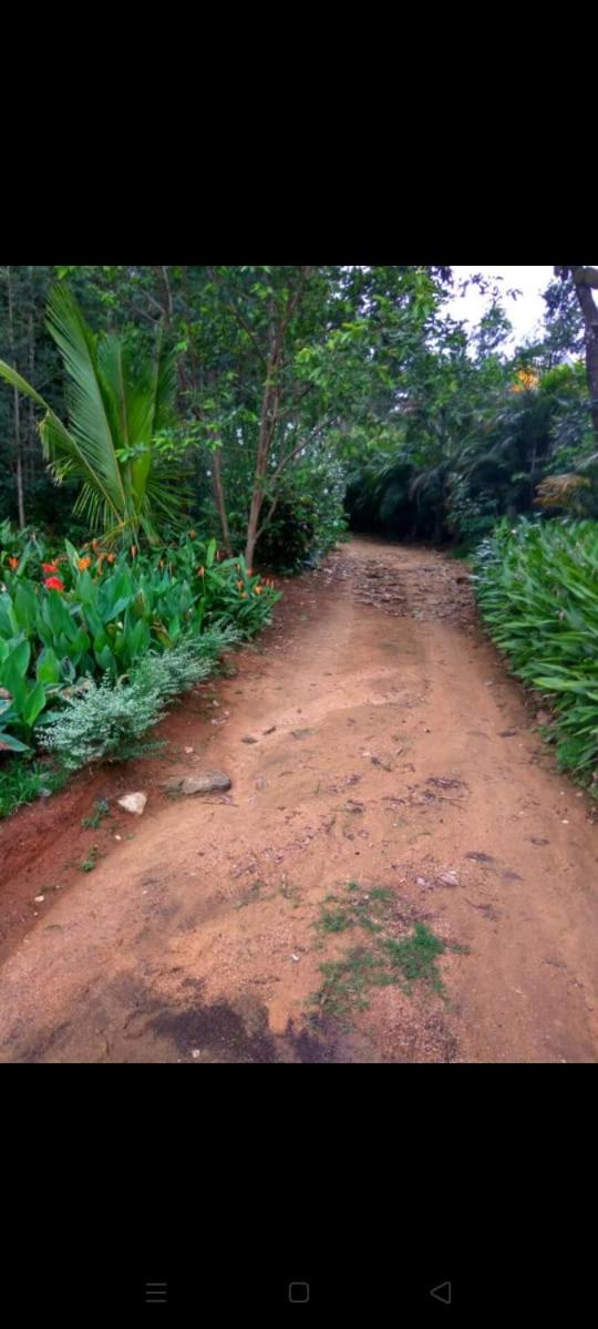 Madhu Giri Stay view 3