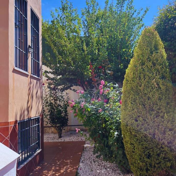 Chalet Rural Granada