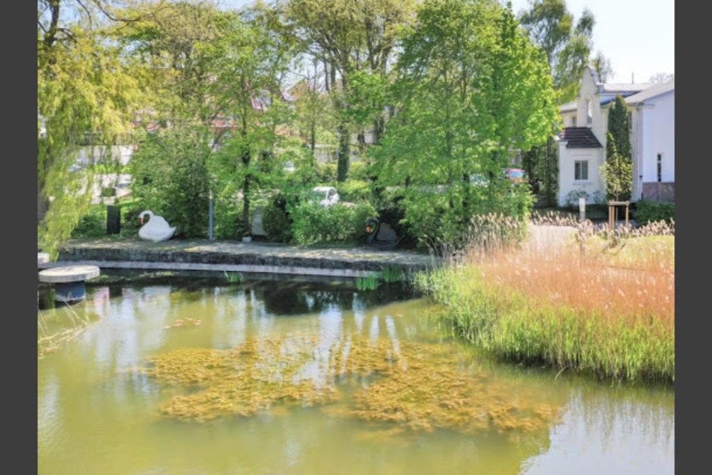 38 Weiße Villa am Schwanenteich EG links