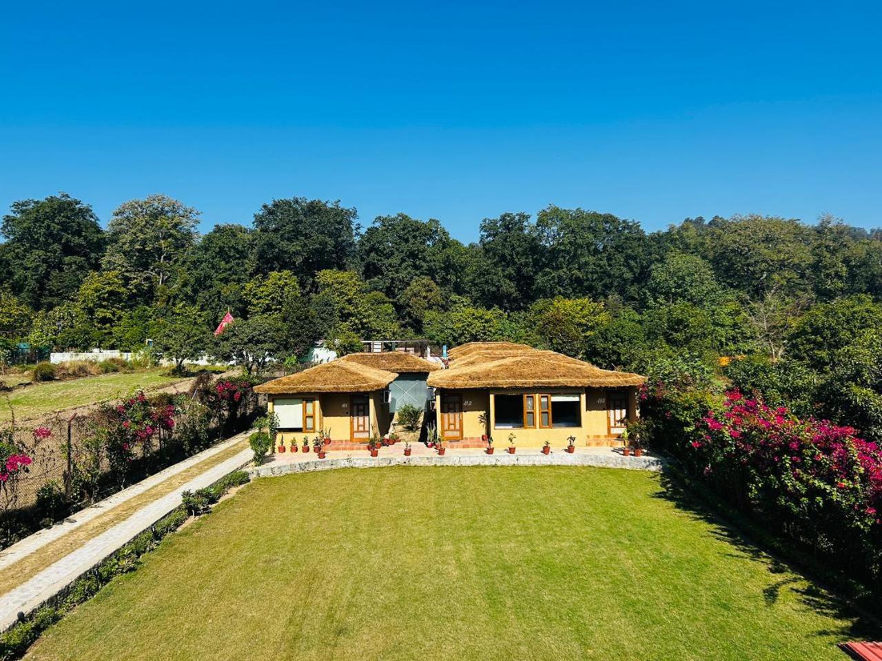 Bene Hotels - Jim Corbett Ramnagar view 4