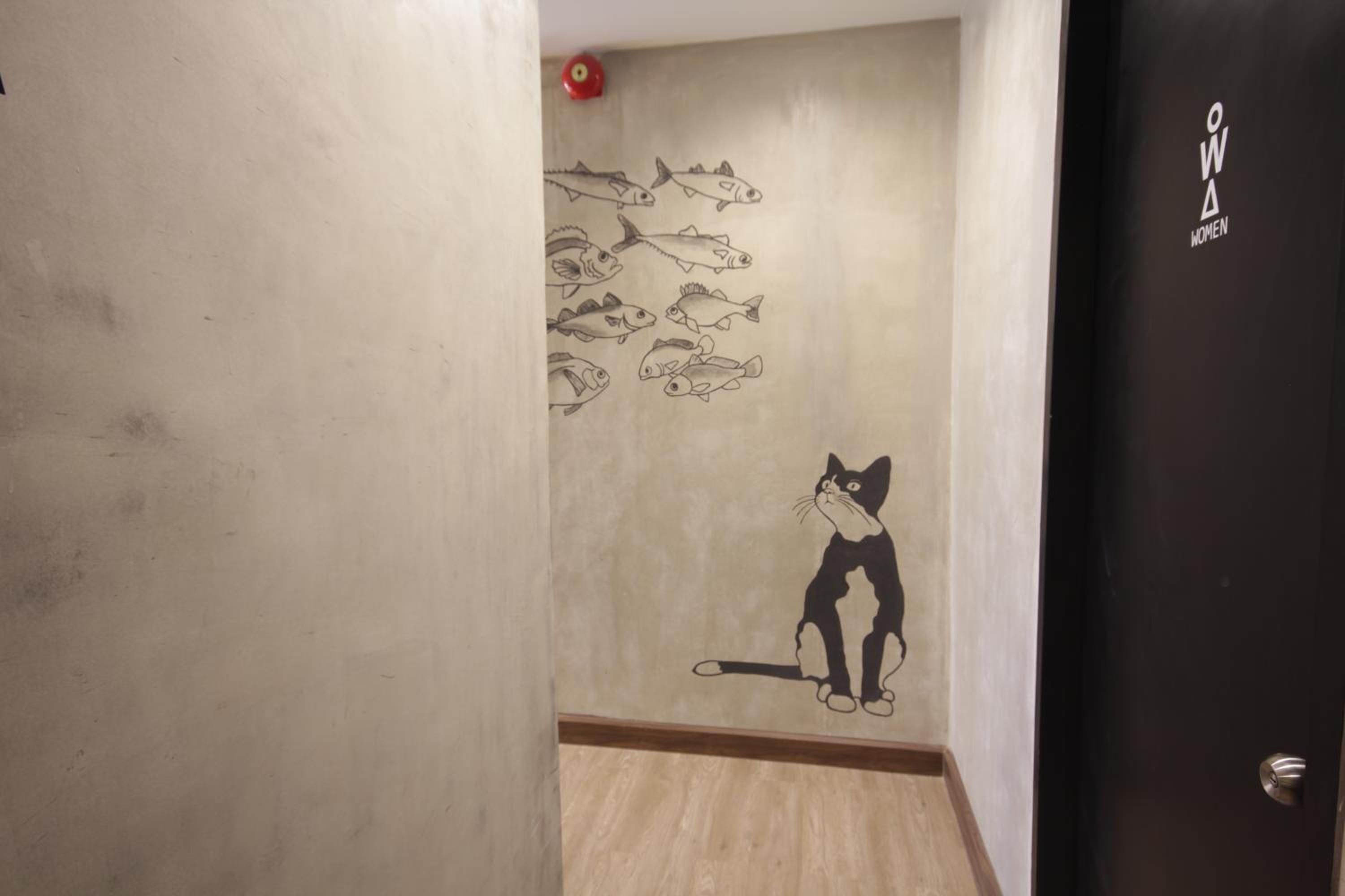 Cazz Hostel