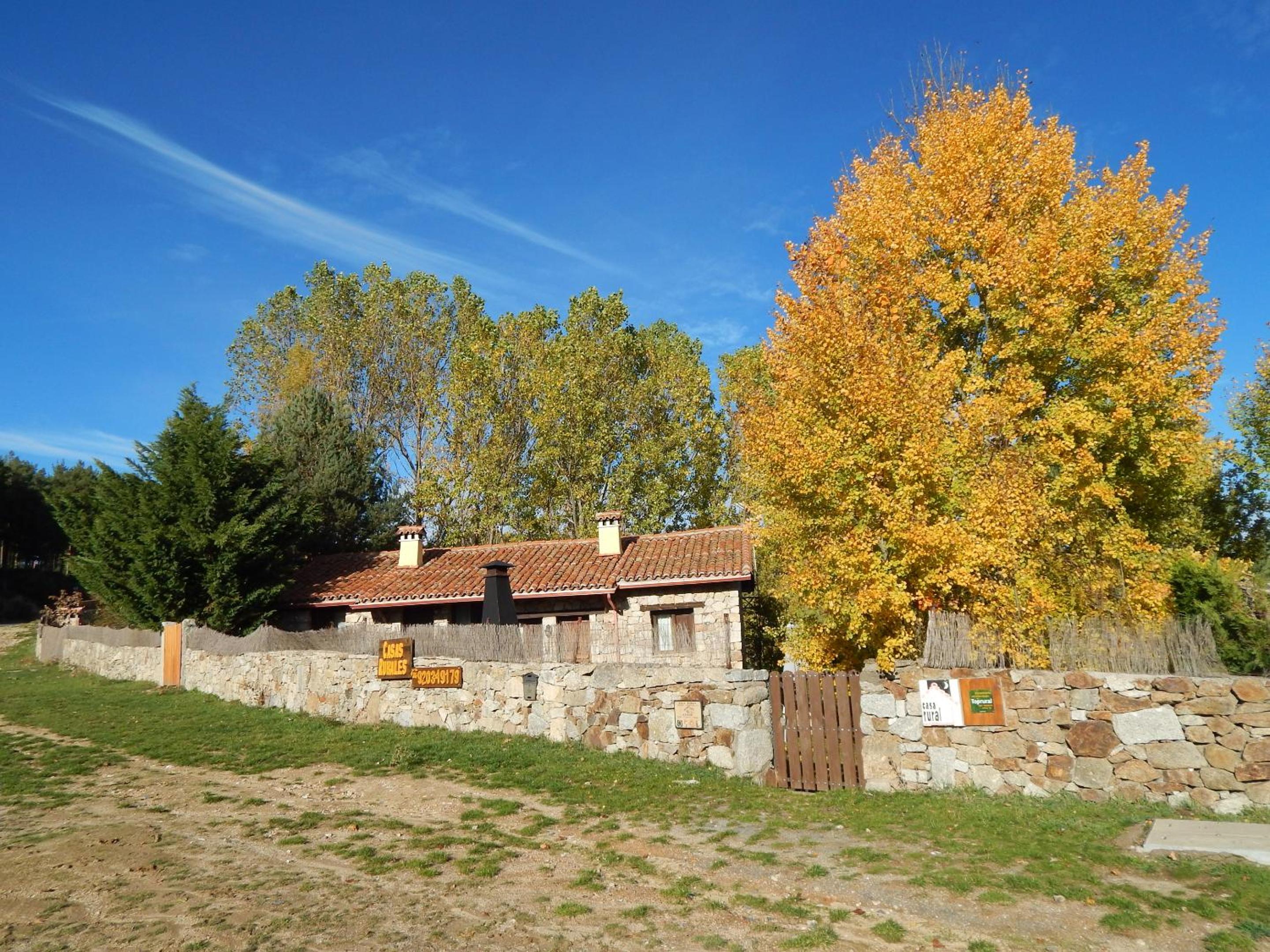 Photo 42