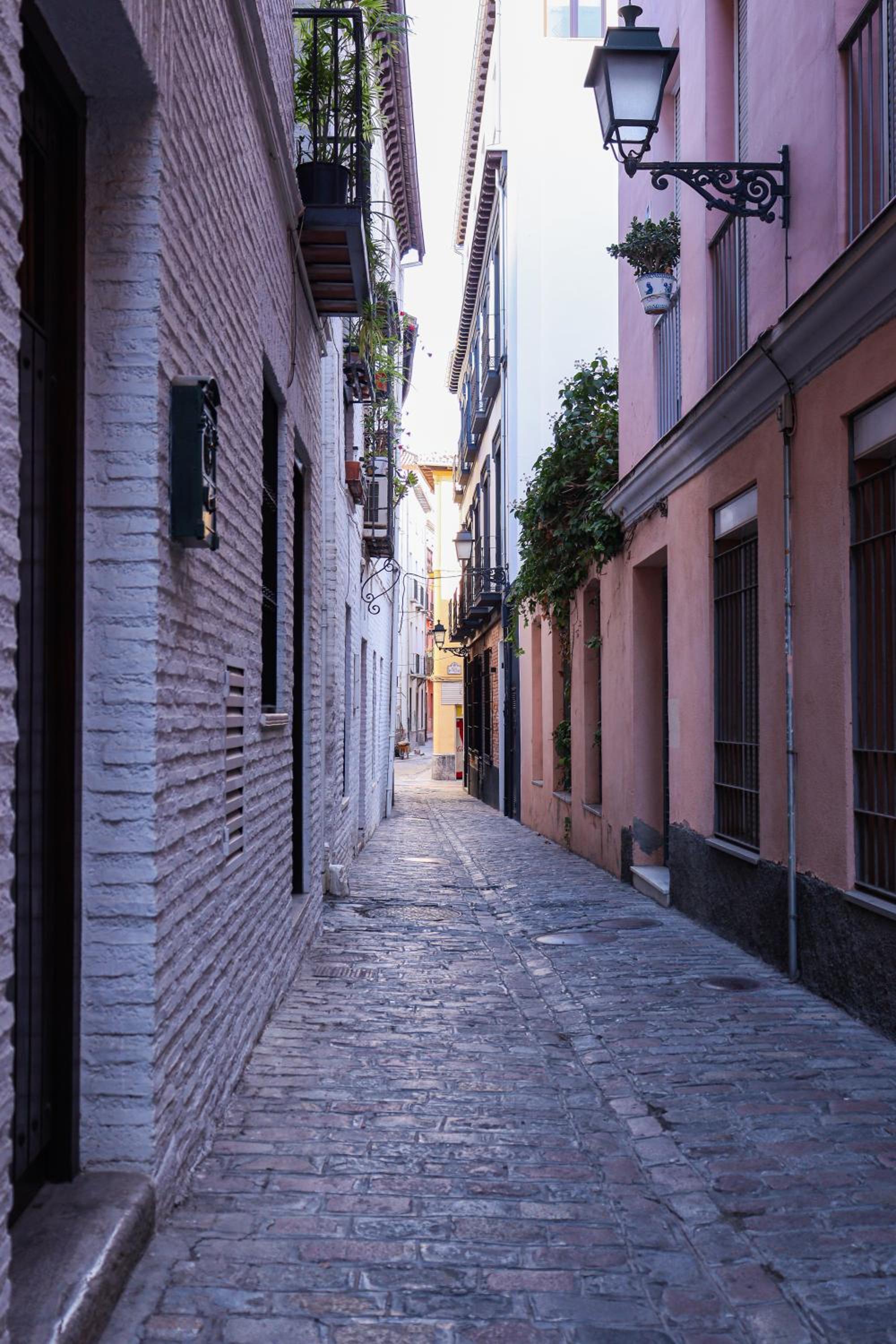 Mexüar Homes San Matías