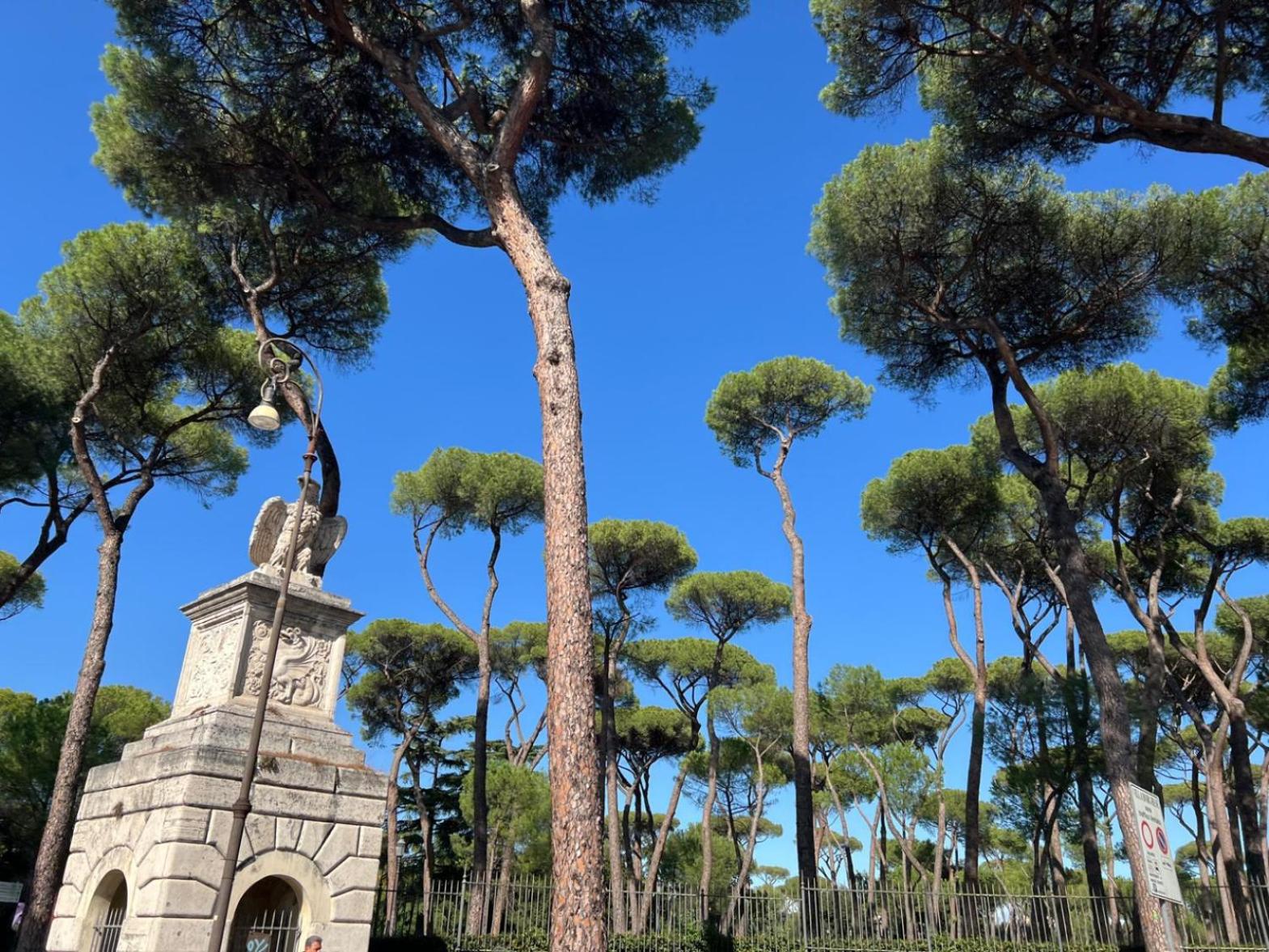 Borghese Design Suite Rome