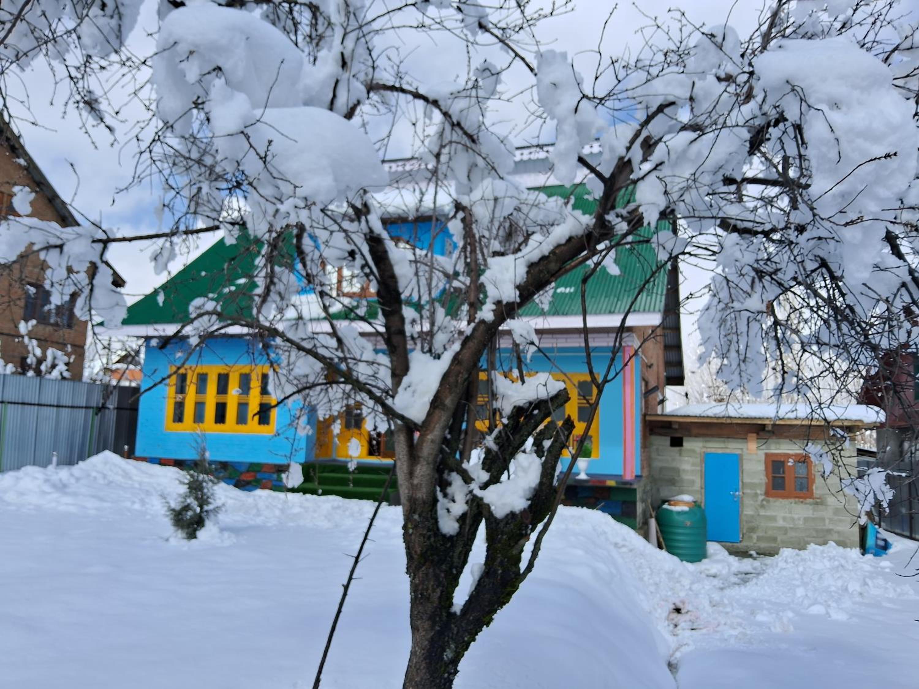 Conifer view guest house view 5