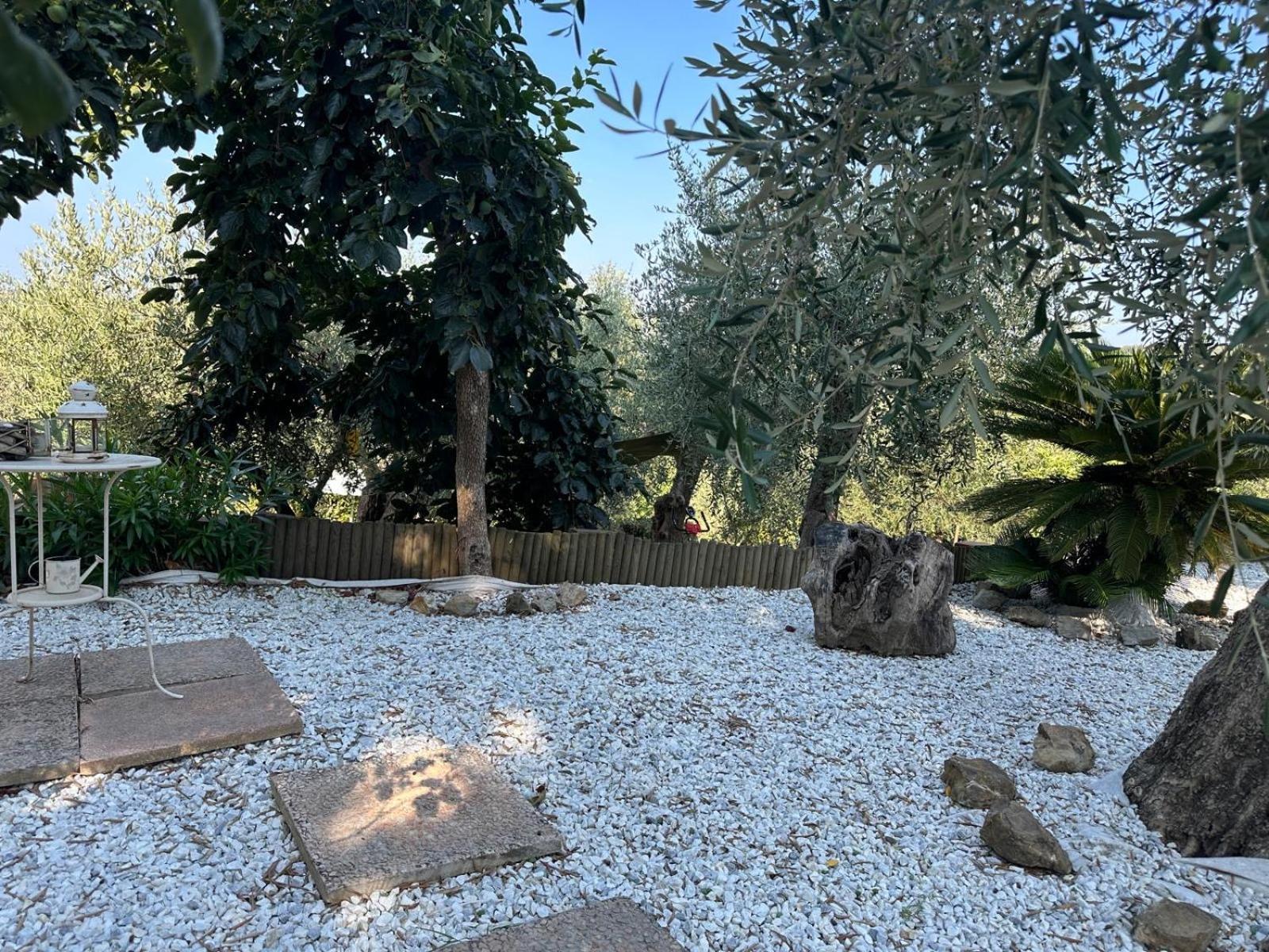 Photo 25