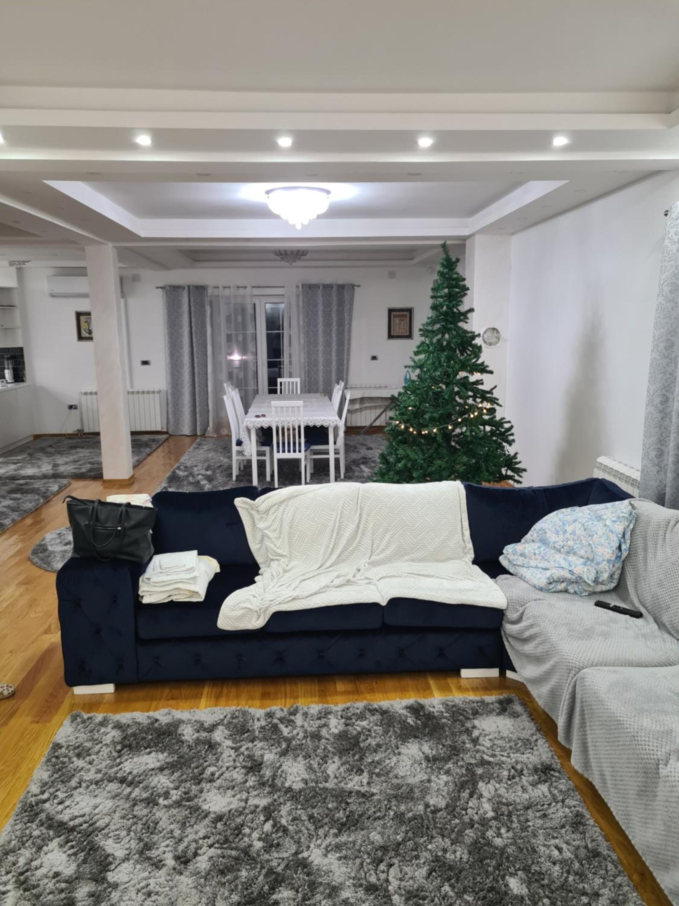 Vila Mitrović view 4