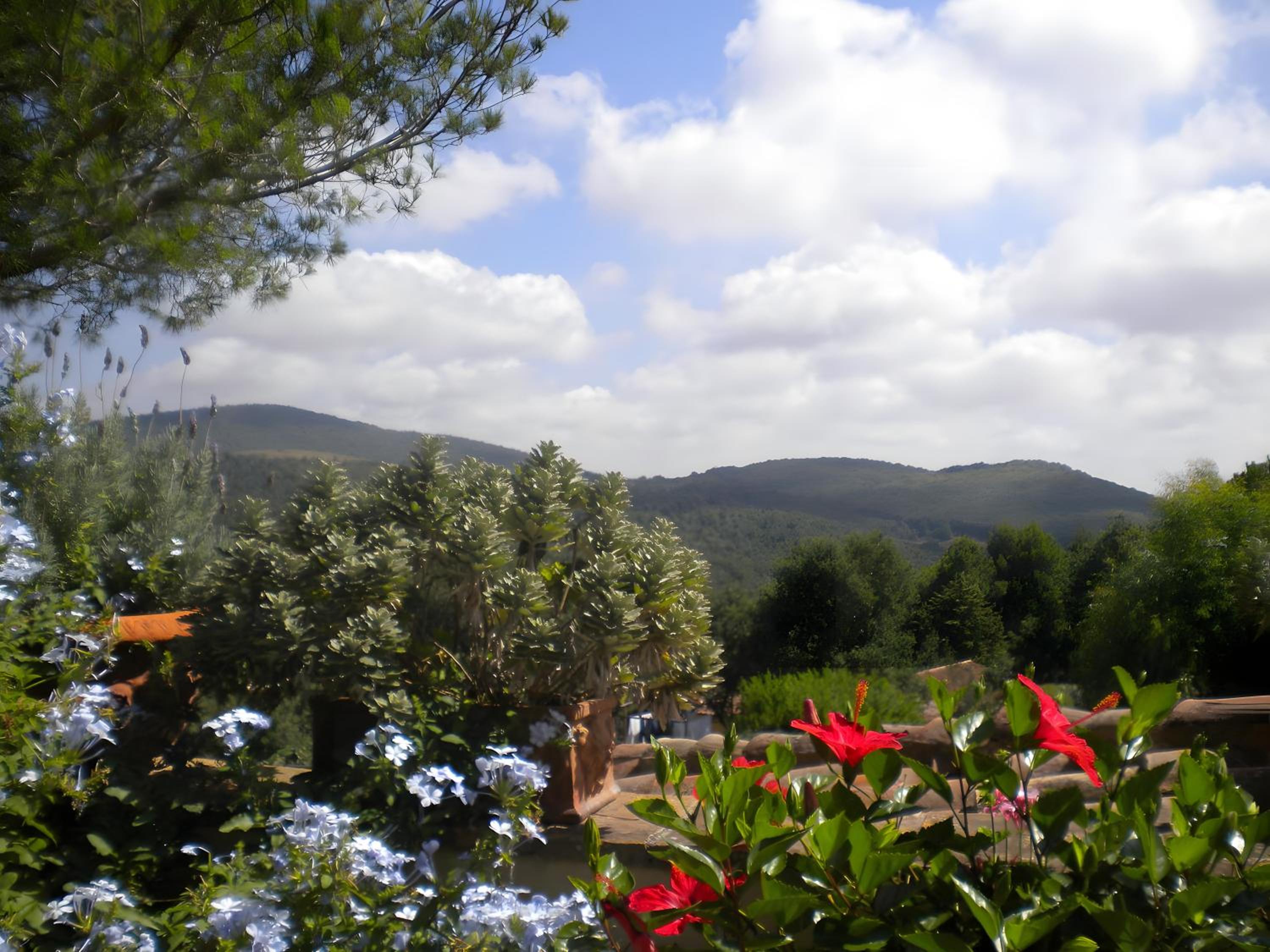 Sweet Tuscany