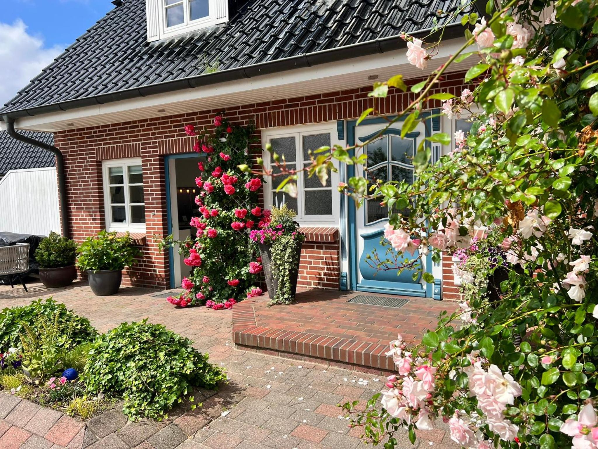 Freie Sicht - Das Nordsee-Gesundheitshaus 1