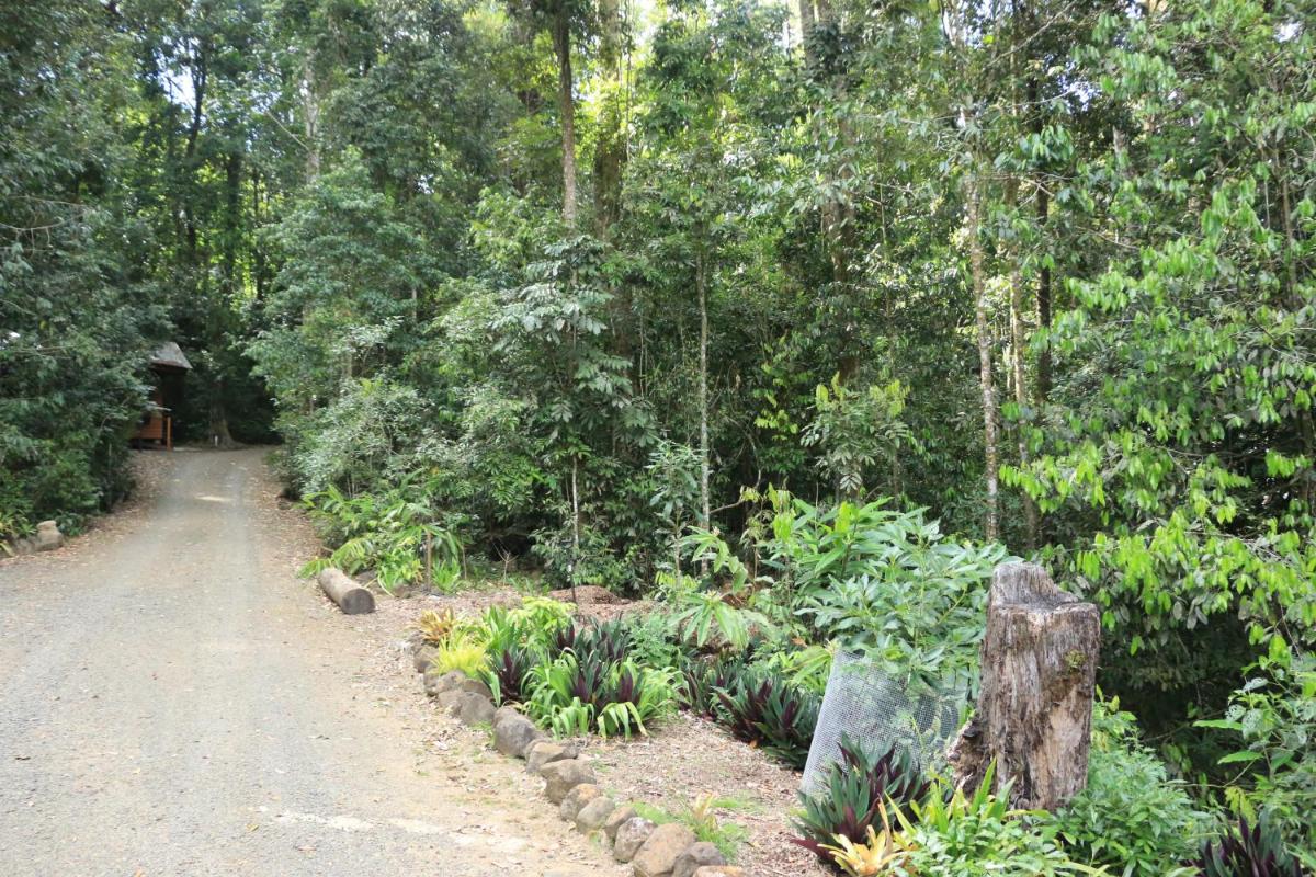 Figtree Getaway
