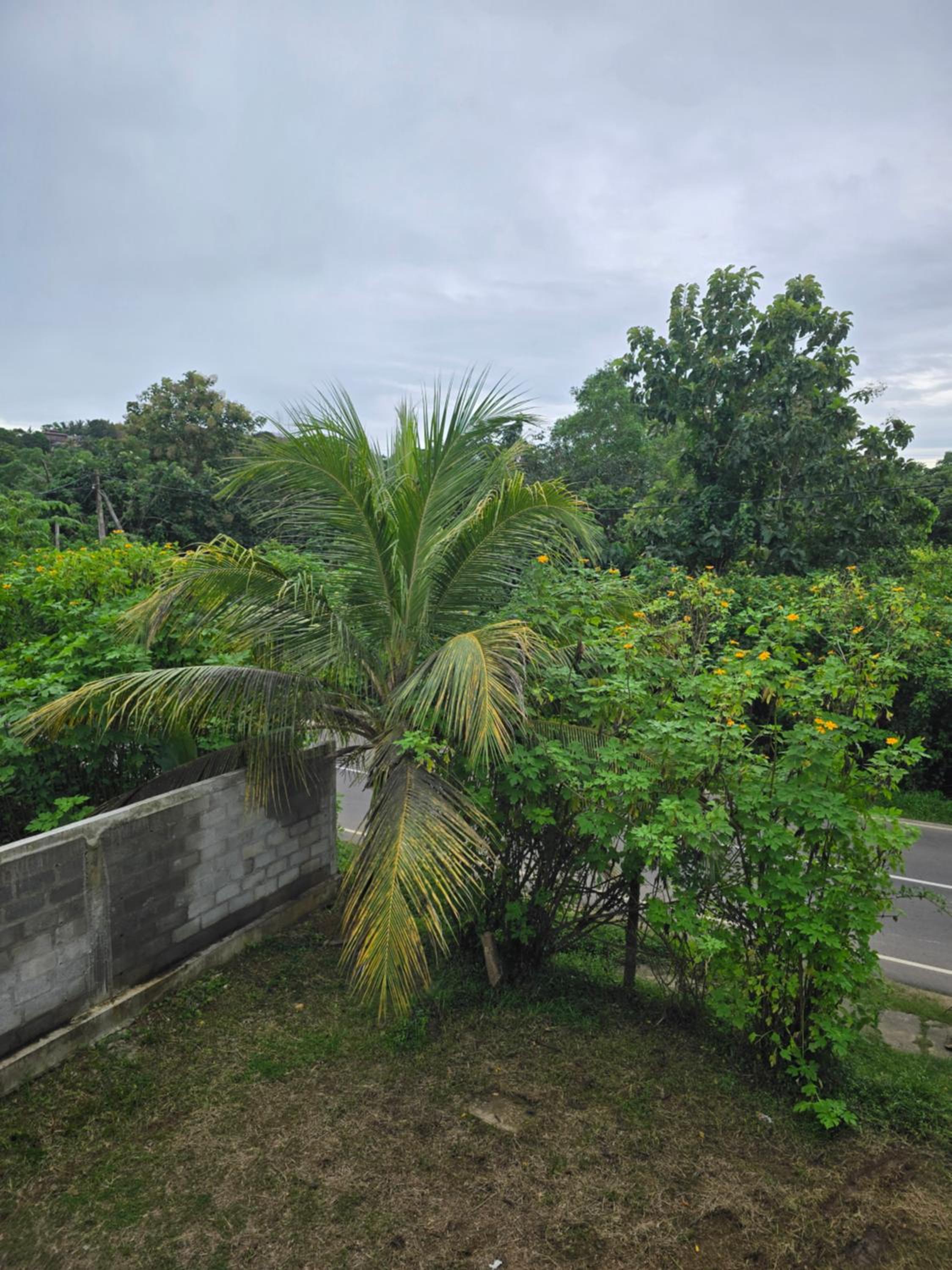 ANDANTE Villa