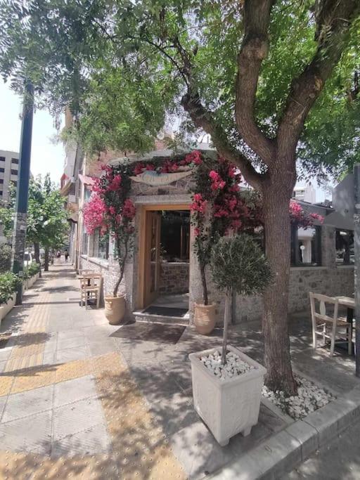 Bisou d' Athènes 1