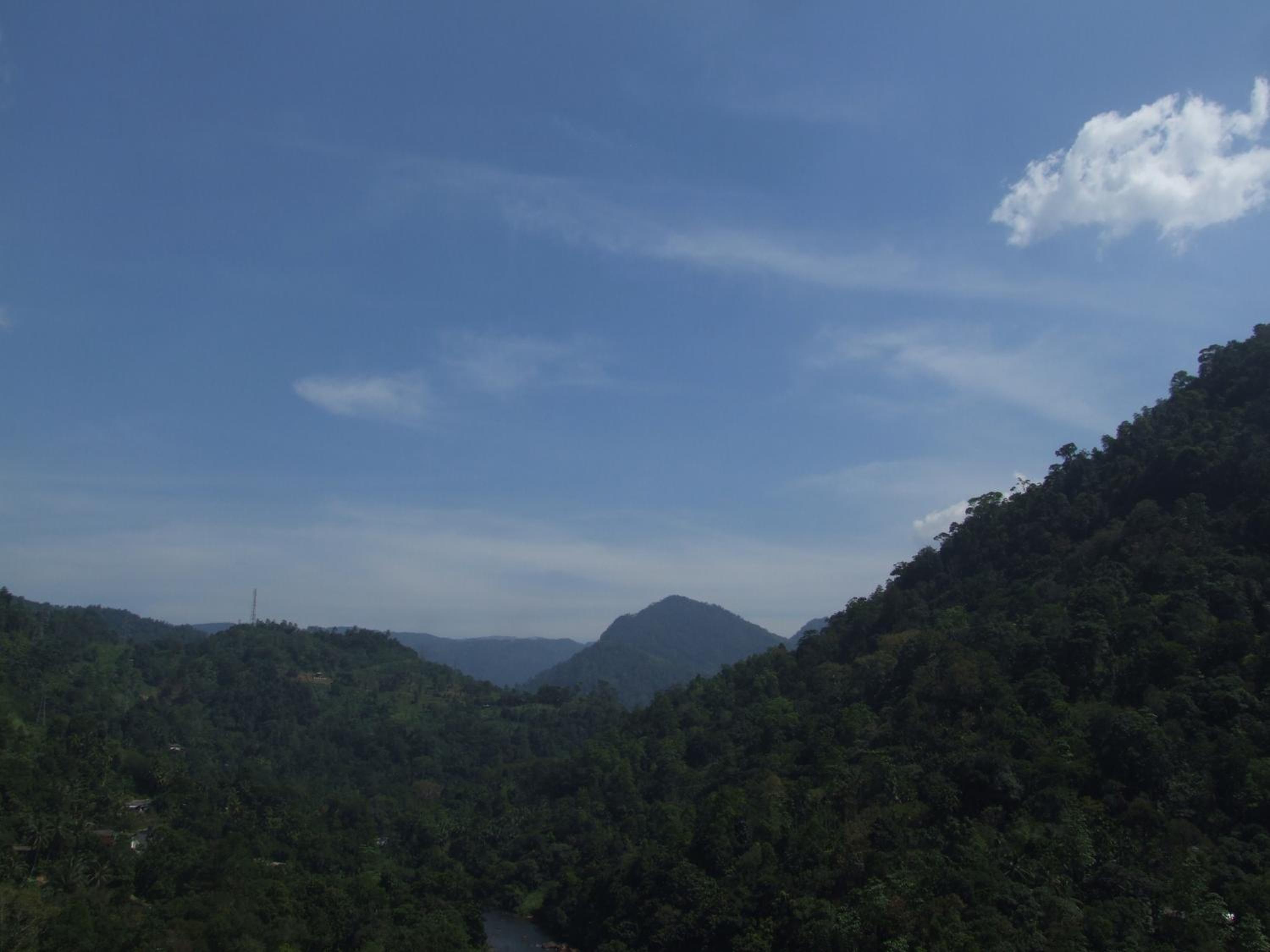 Singing River Nature Adventure