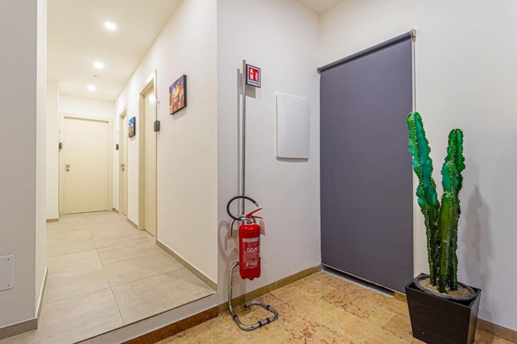 Suite delle Casse 5 view 5