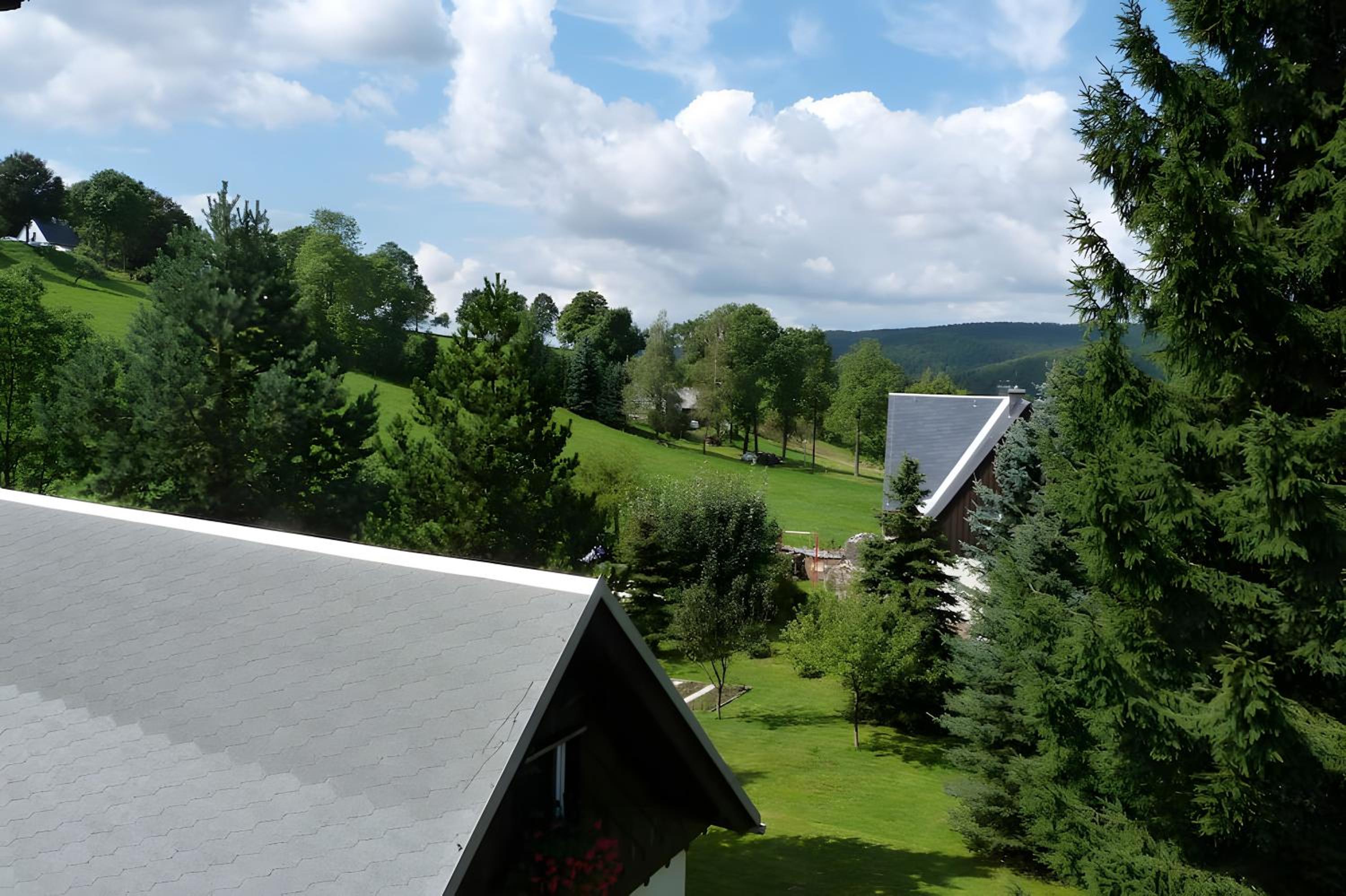 Gemutliche Ferienwohnung in Holzhau - Property Image 16