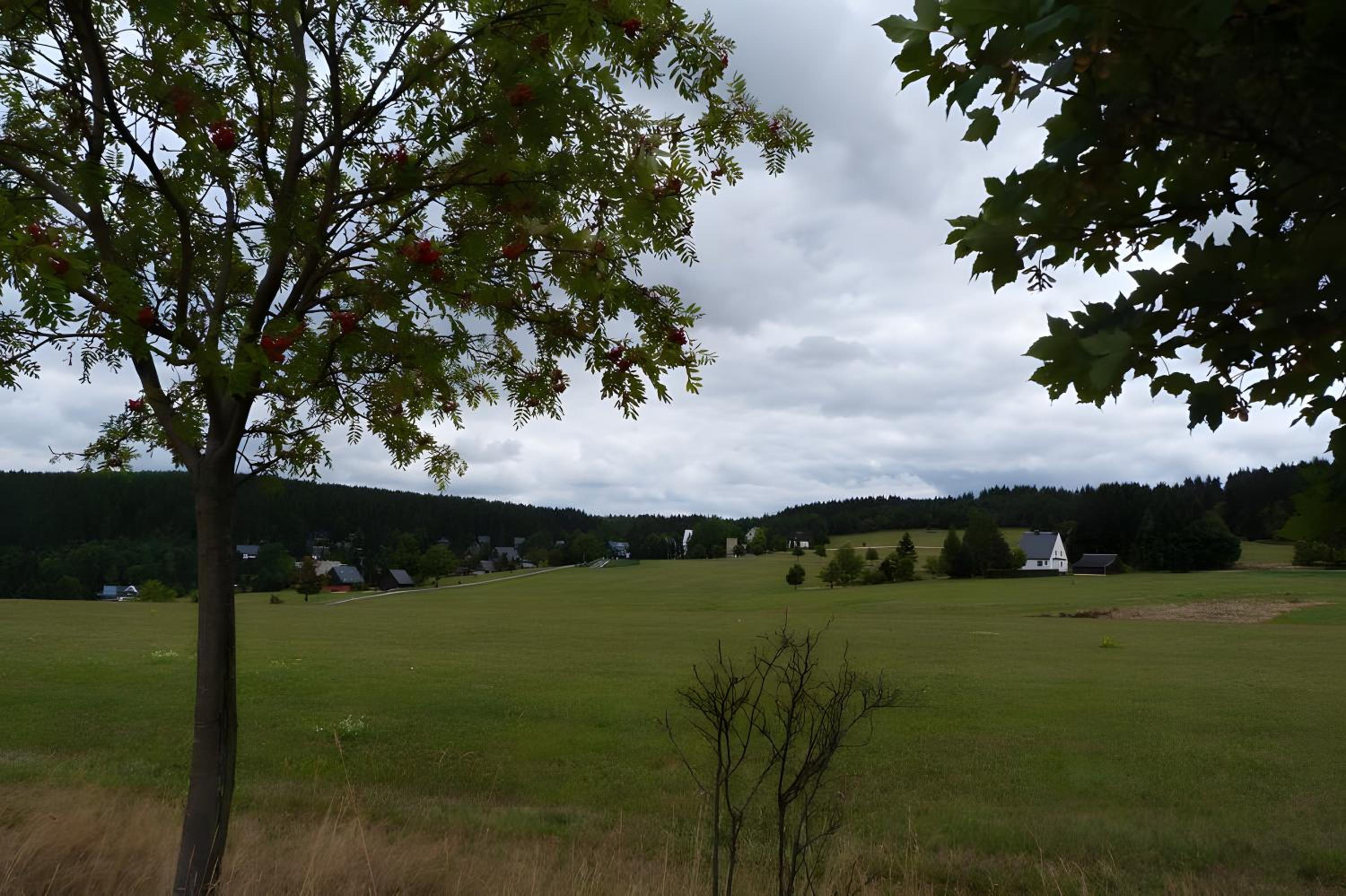 Gemutliche Ferienwohnung in Holzhau - Property Image 11