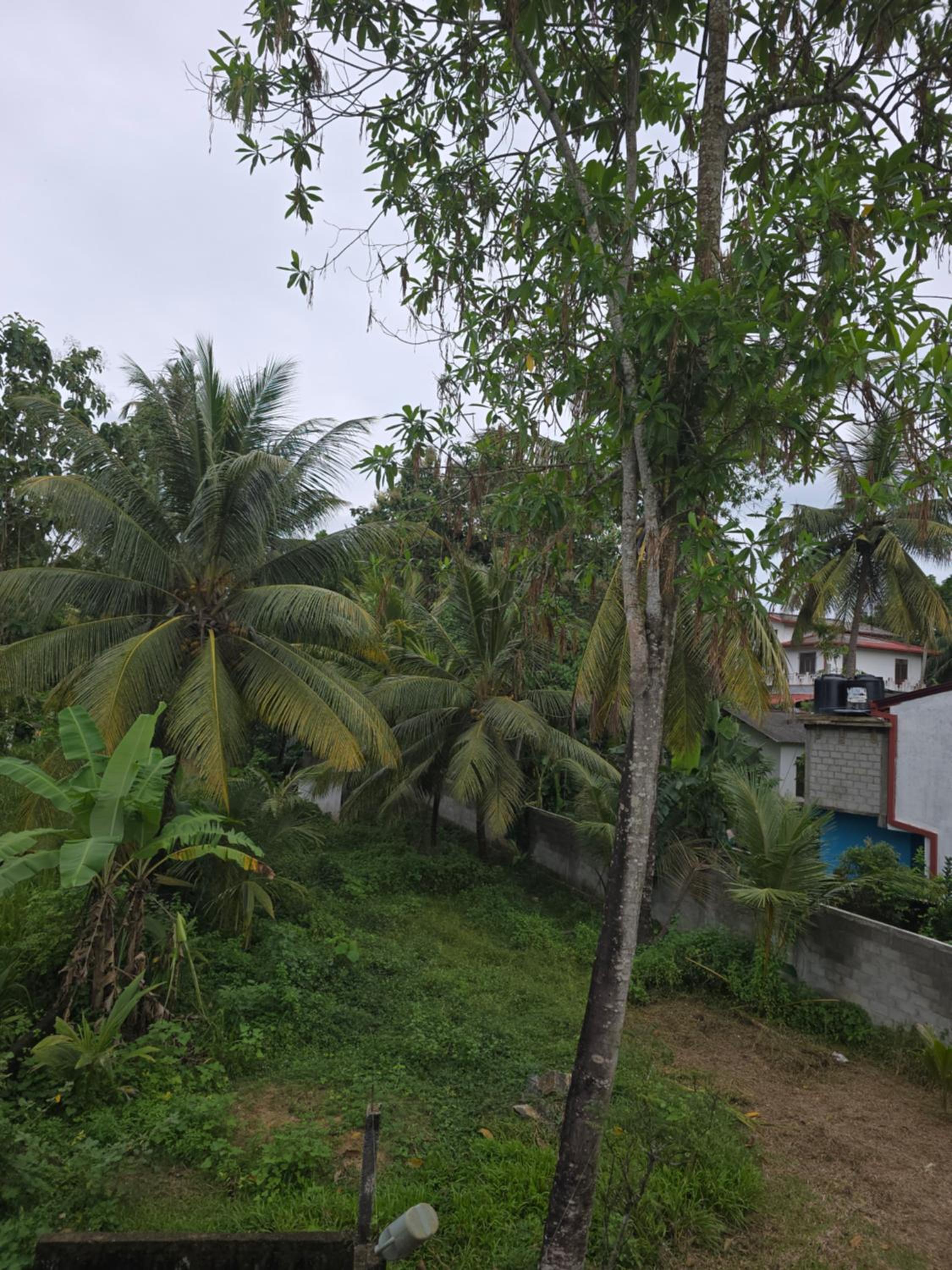 ANDANTE Villa