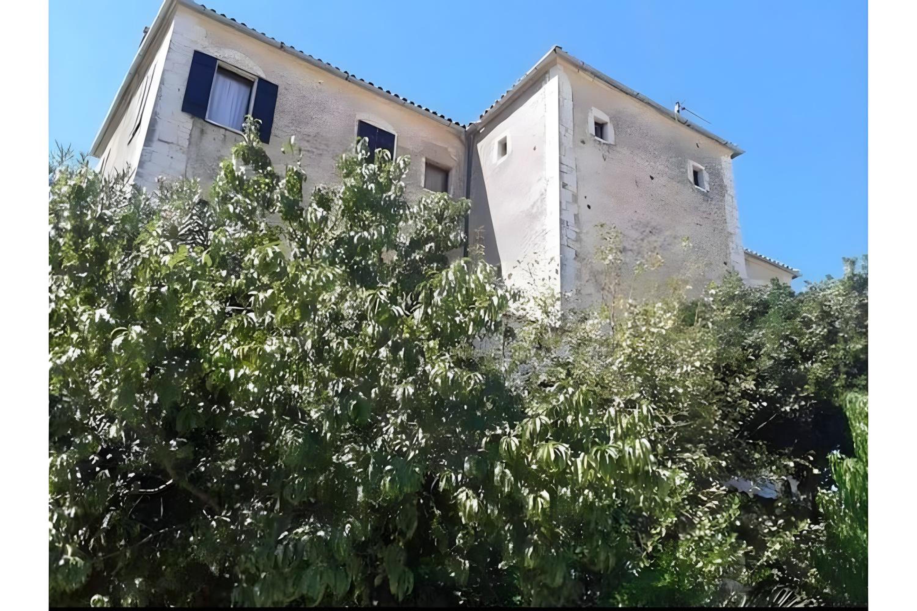 Photo 26