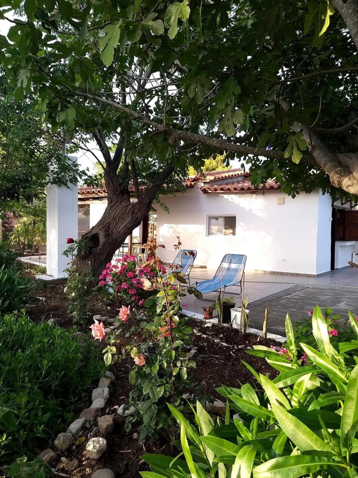 Maria's Home view 2