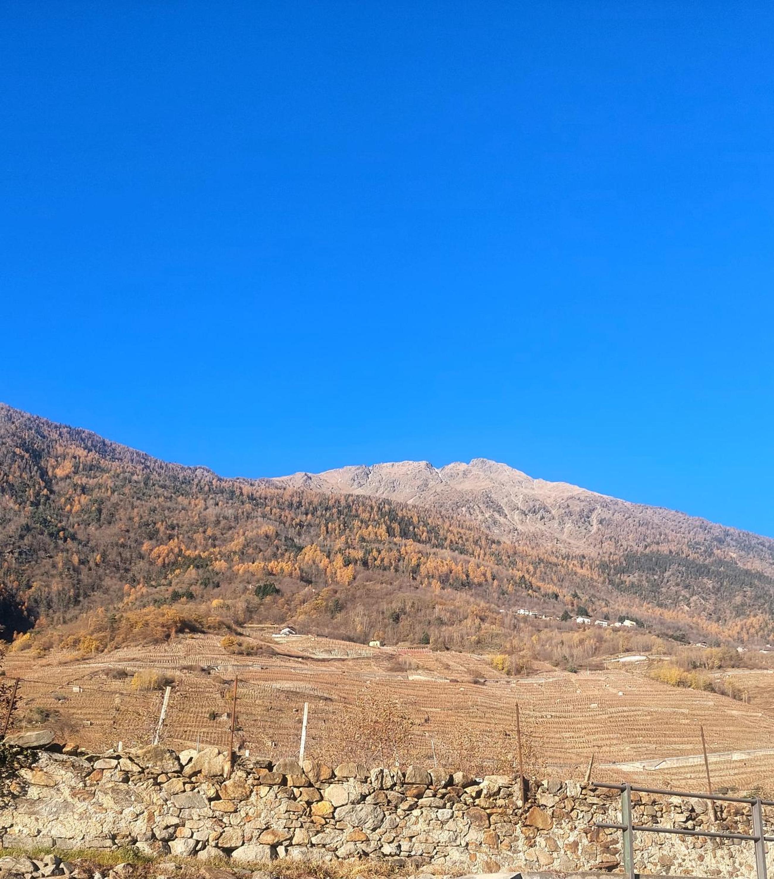Sole tra i Gelsi view 5