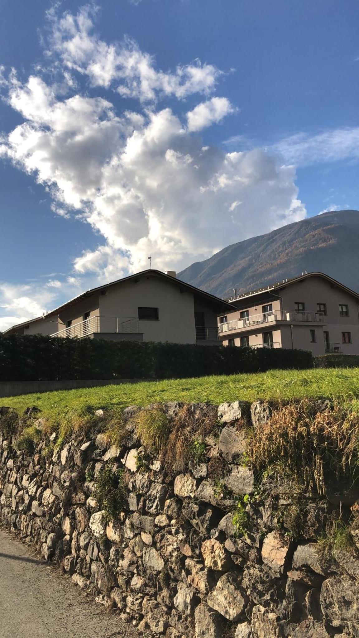Sole tra i Gelsi view 3