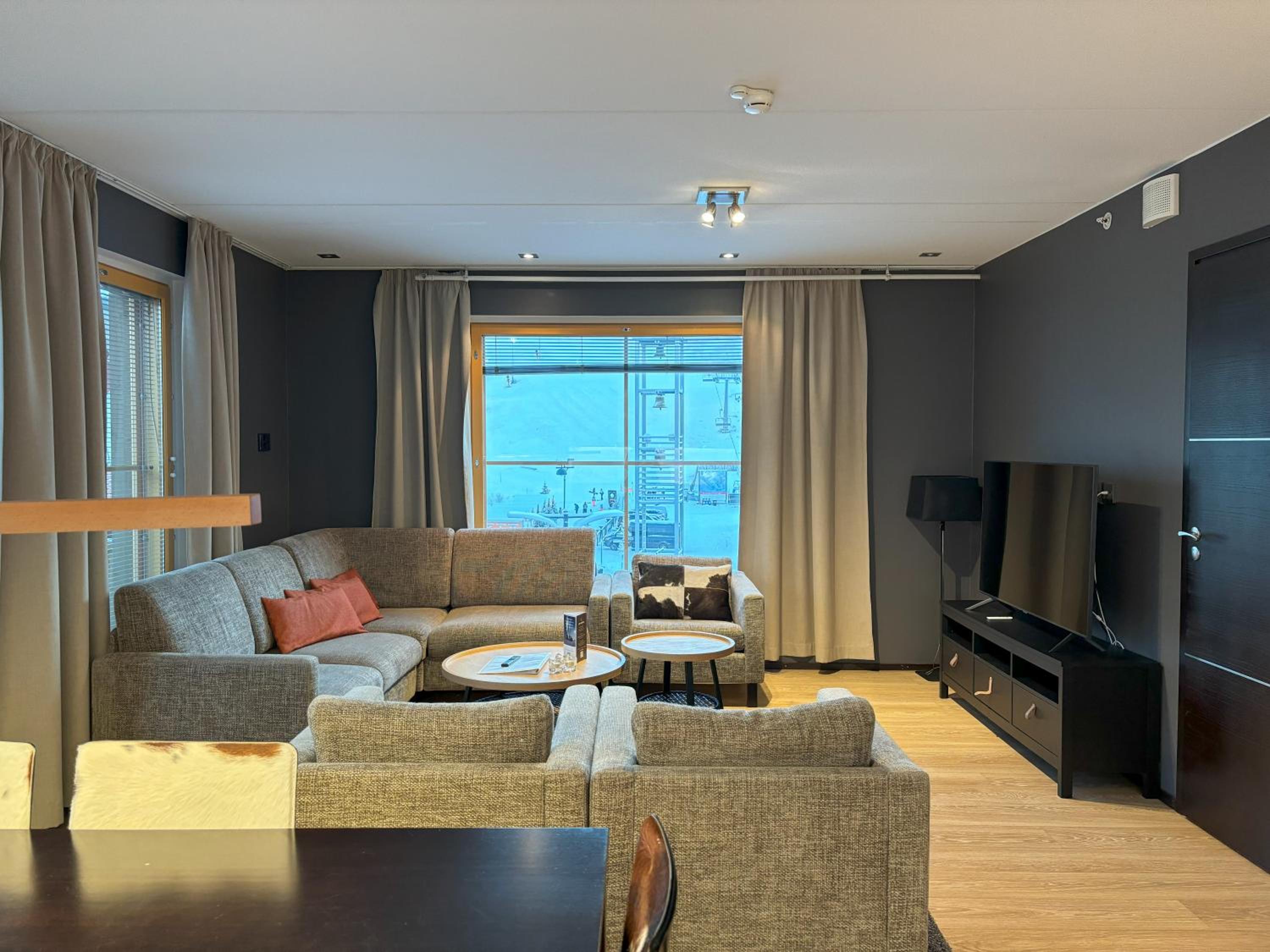 Levi Suites Levi Gold