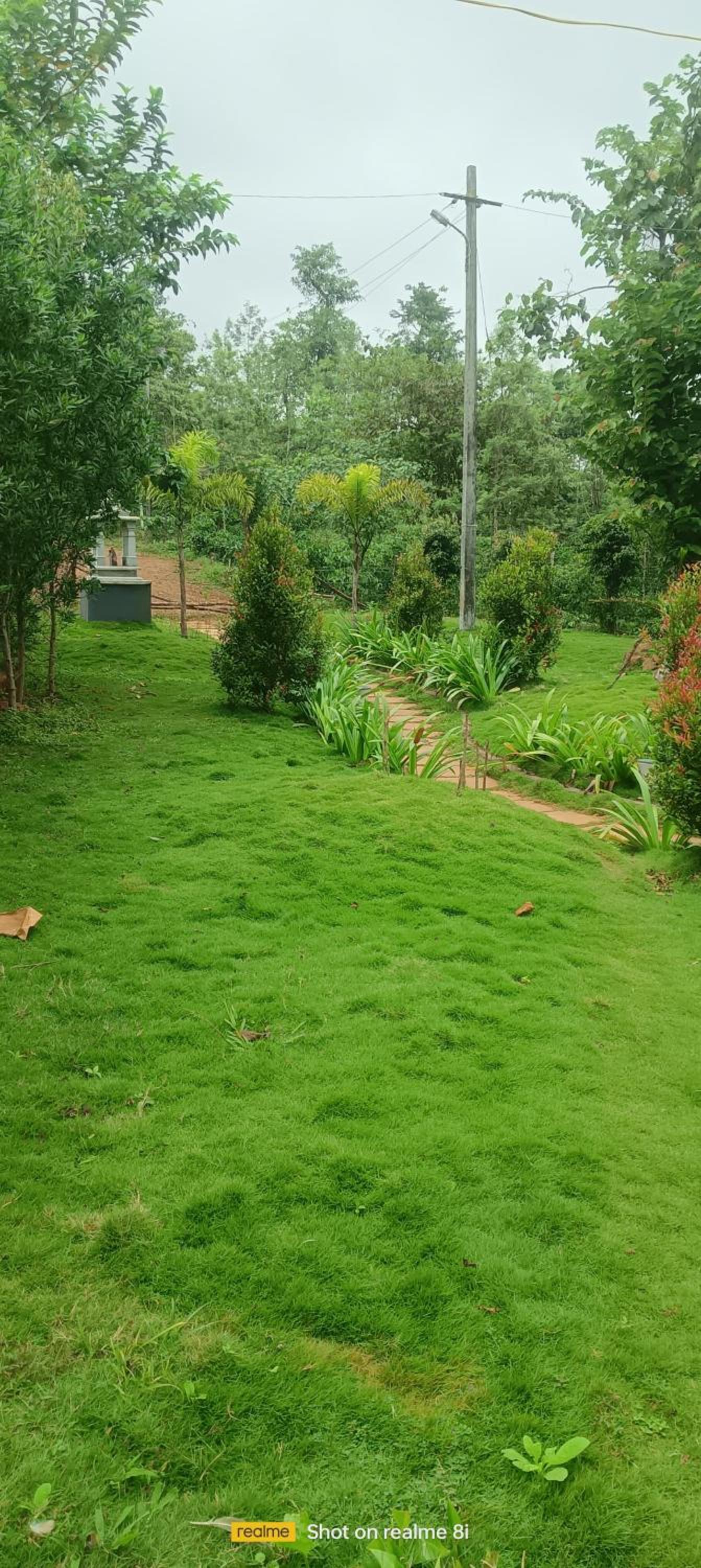 Vanam Homestay