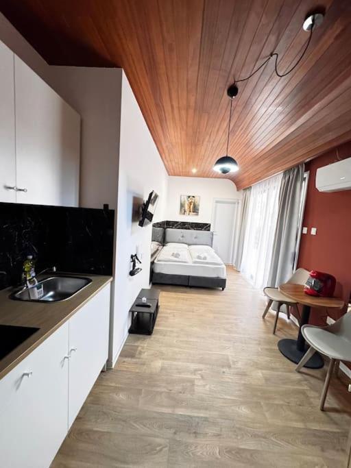 Modern Studio N1 private Kitchenette and Bathroom